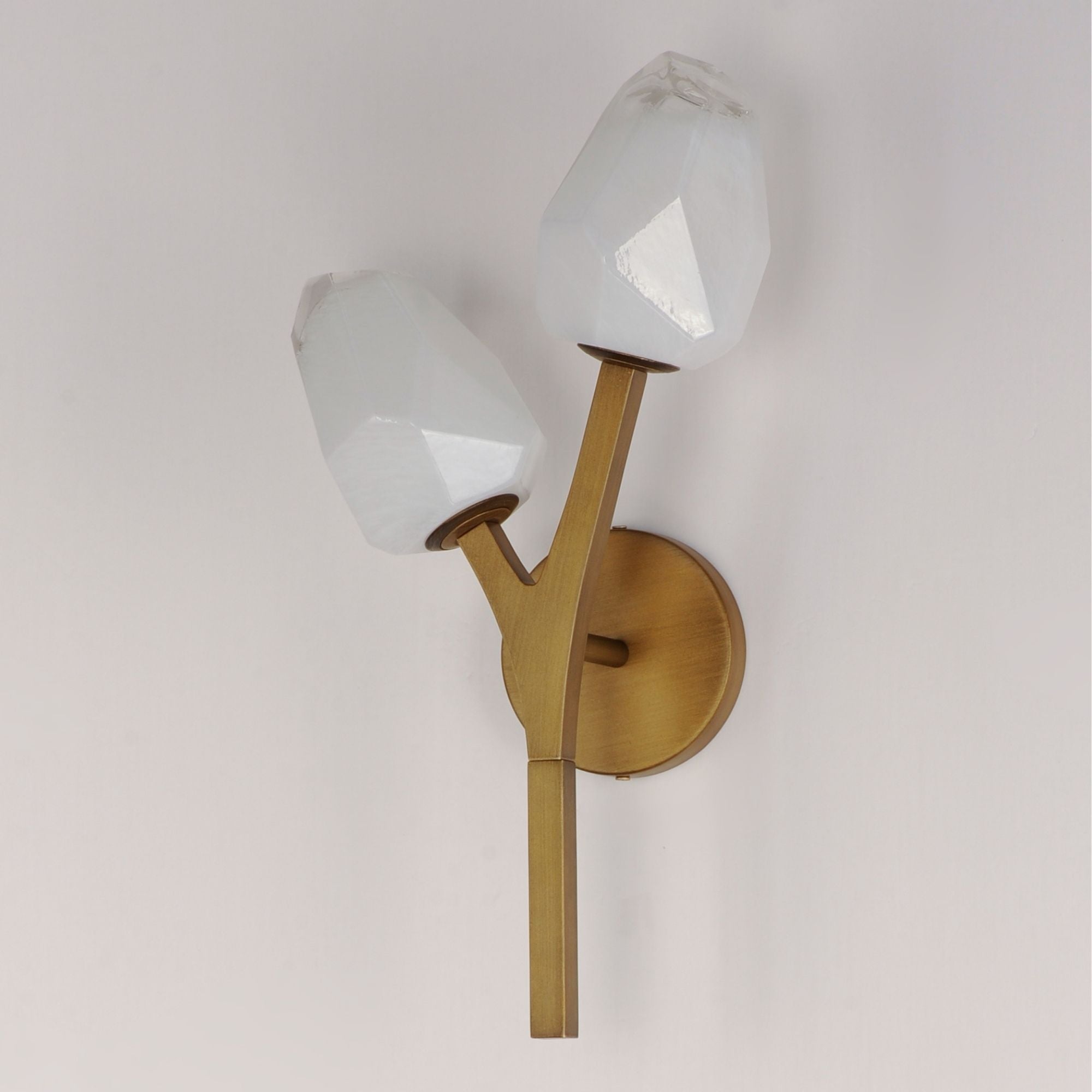 Blossom 19" 2-Light LED Wall Sconce, Natural Aged Brass Finish
