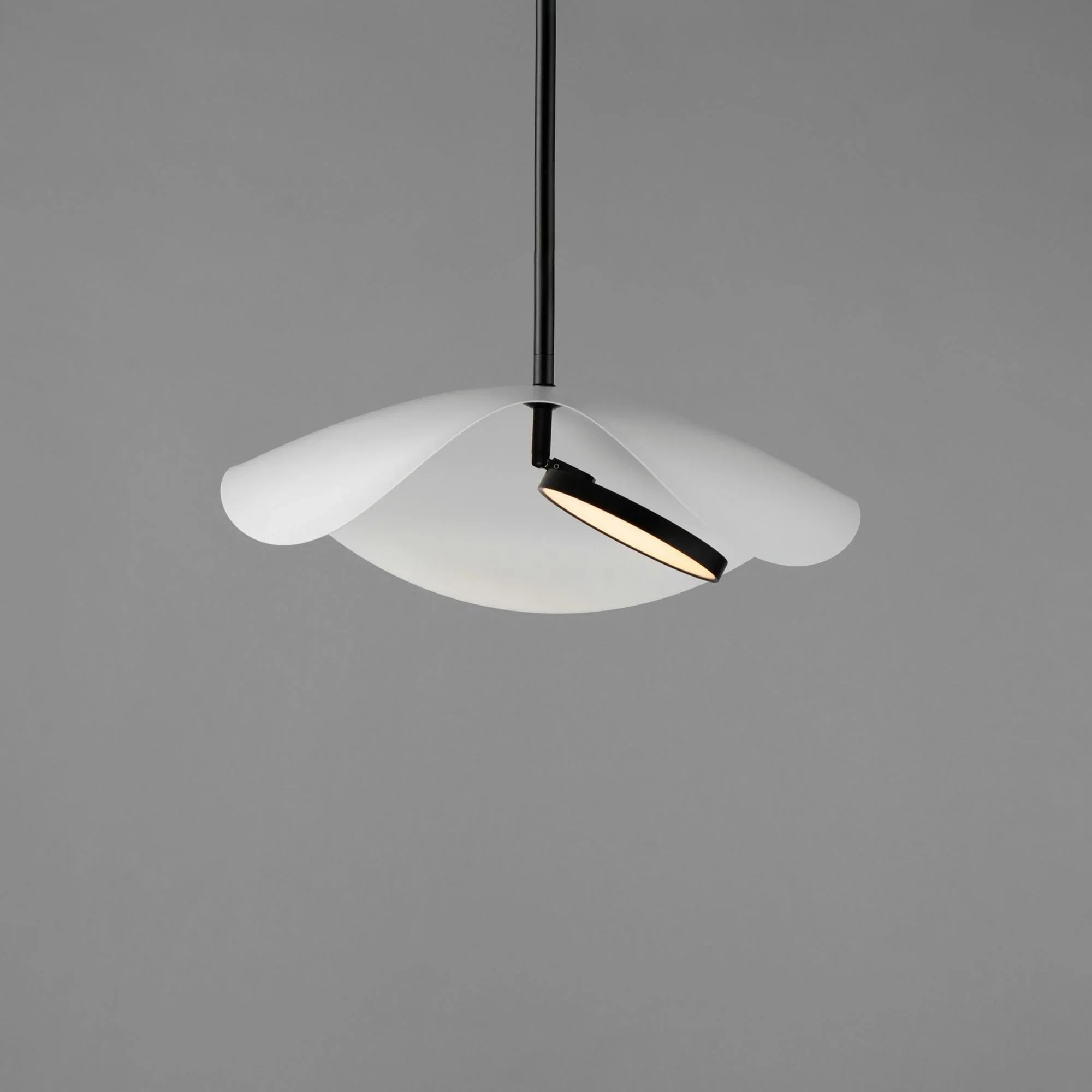 ET2 Lighting - Carmen 16" LED Pendant, Black Finish | Bees Lighting