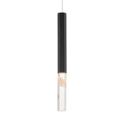 Diaphane 16" LED Mini Pendant, Black Finish