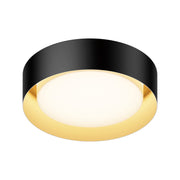 Echo 13" LED Flush Mount, Black & Gold Finish