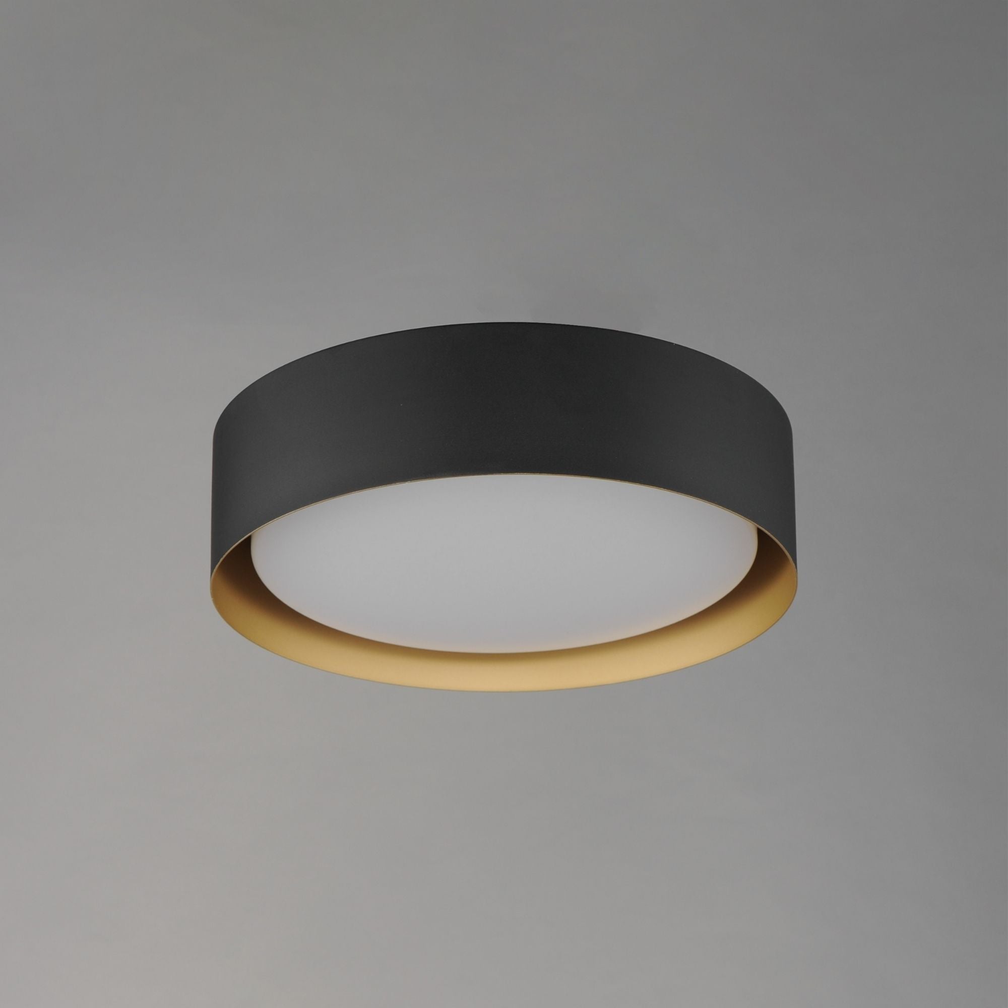 Echo 16" LED Flush Mount, Black & Gold Finish