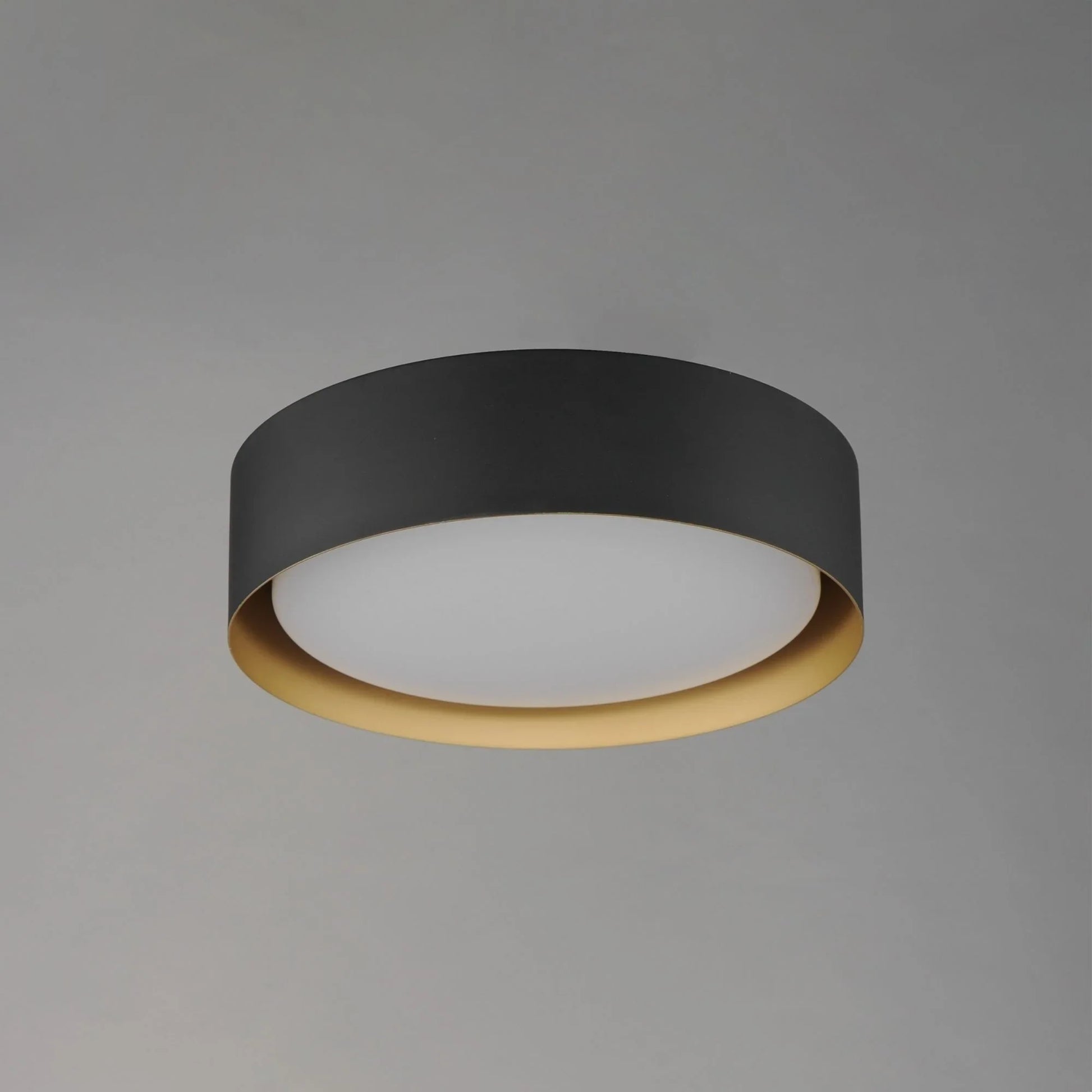 ET2 Lighting - Echo 24" LED Flush Mount, Black & Gold Finish | Bees Lighting