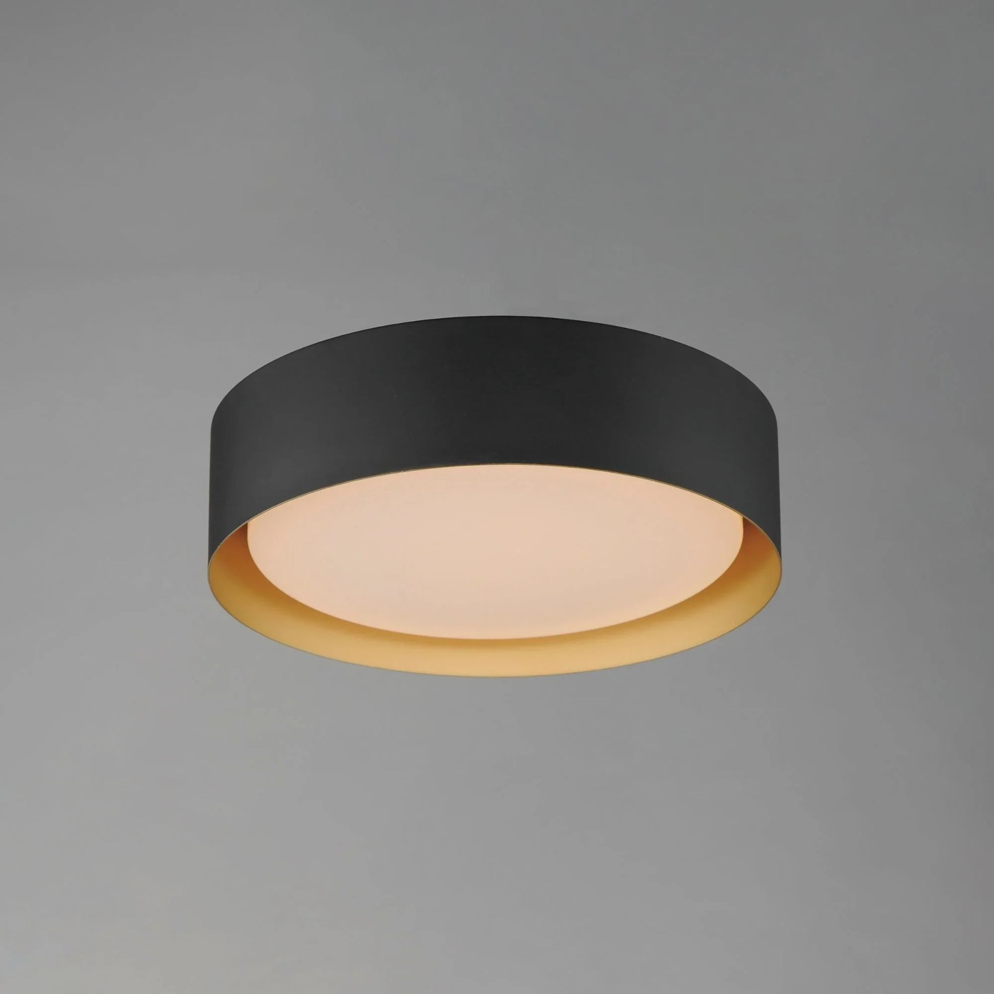 ET2 Lighting - Echo 24" LED Flush Mount, Black & Gold Finish | Bees Lighting