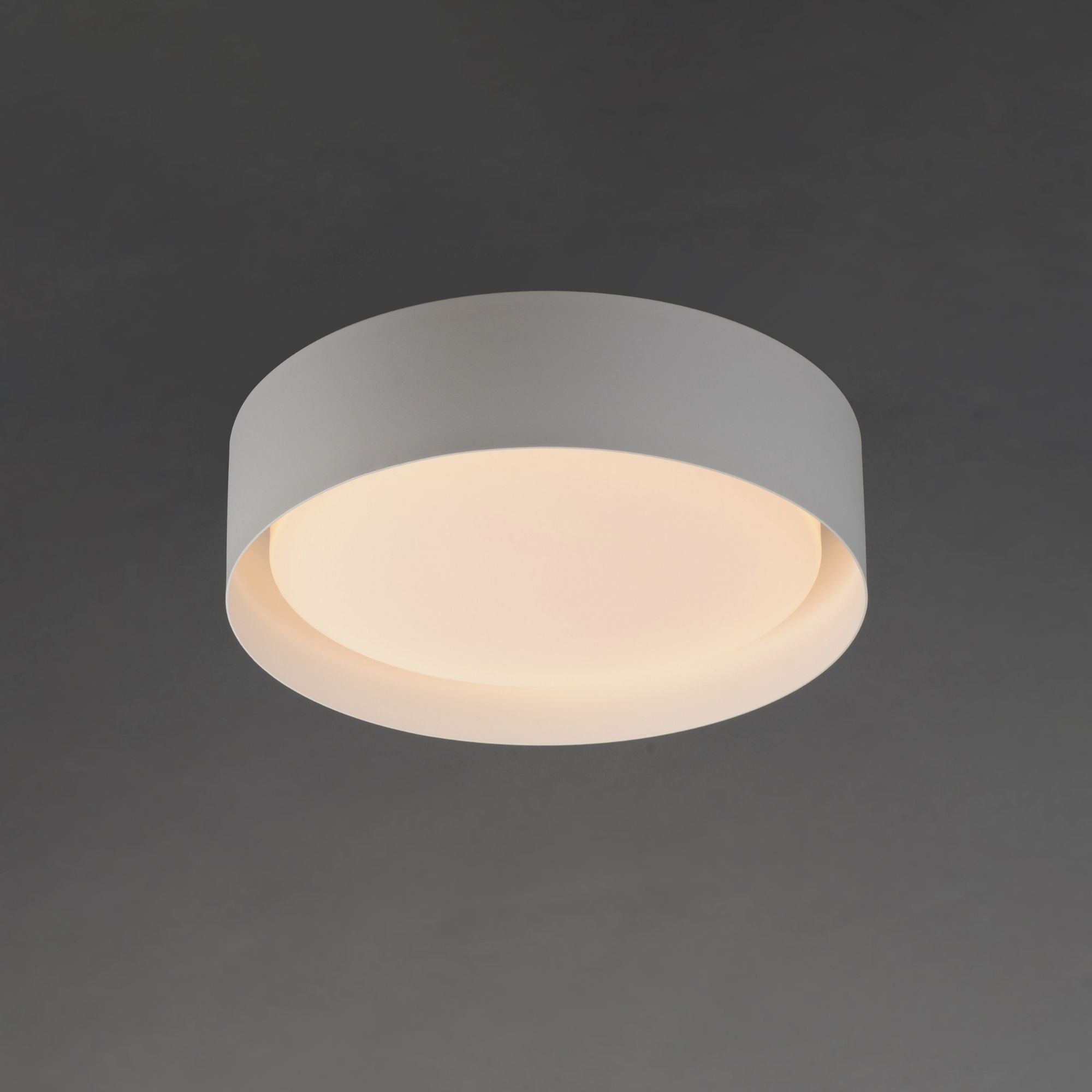 Echo 24" LED Flush Mount, White Finish