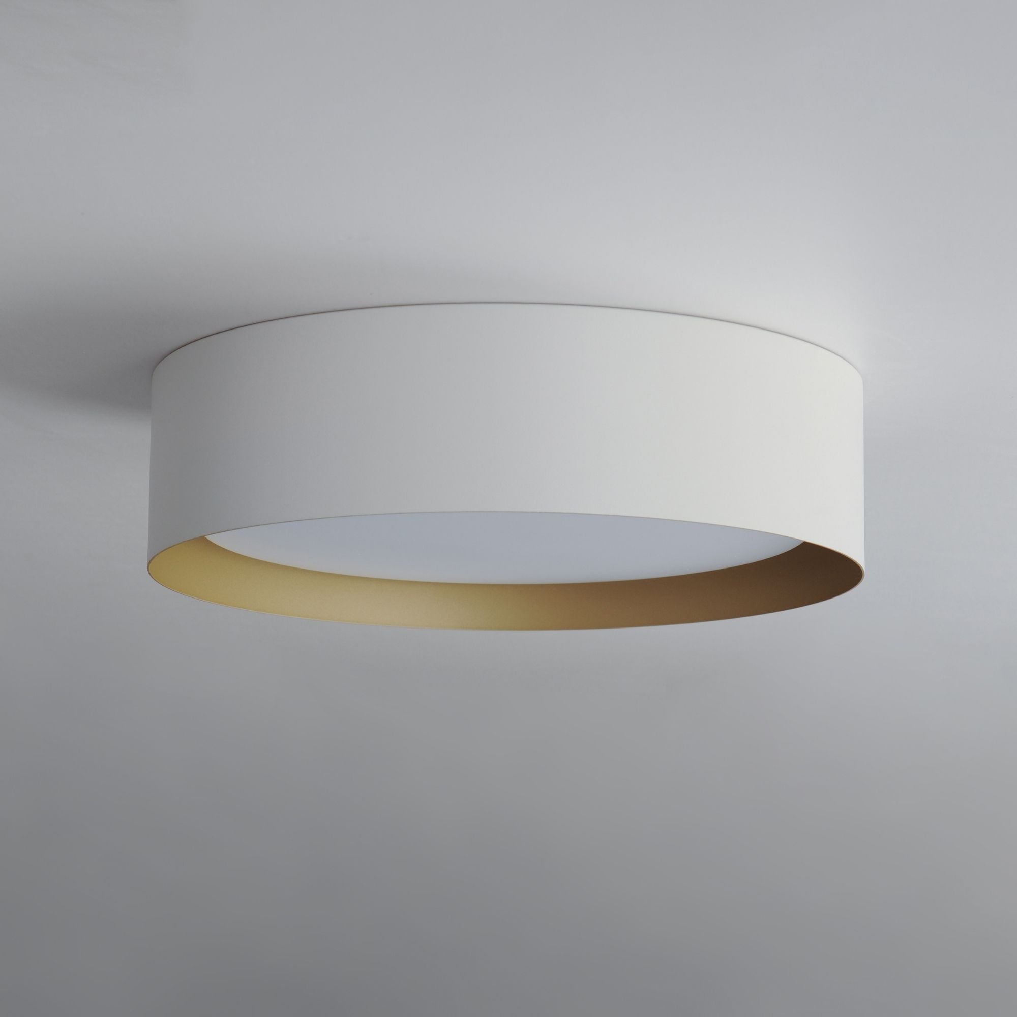 Echo 24" LED Flush Mount, White & Gold Finish