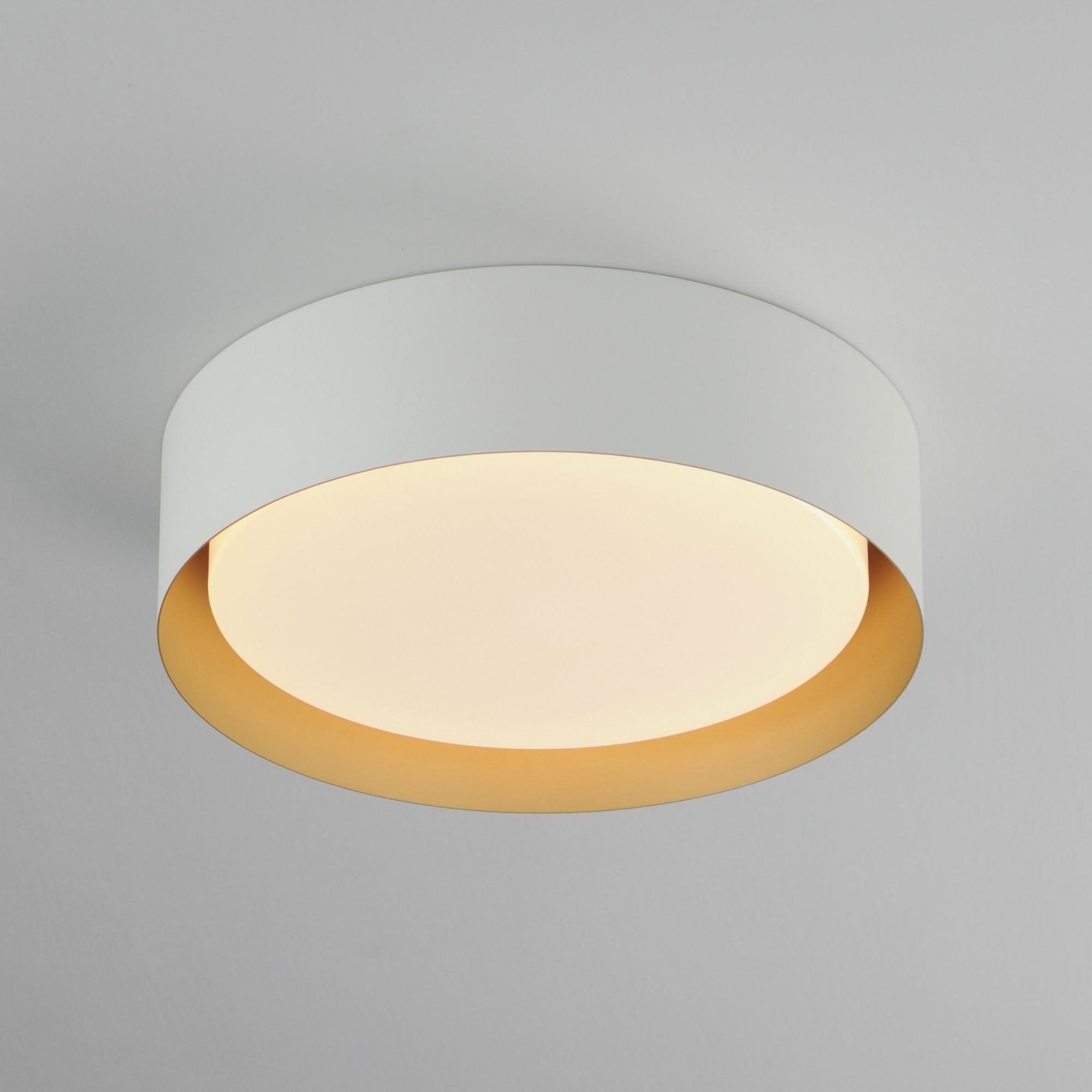 Echo 24" LED Flush Mount, White & Gold Finish