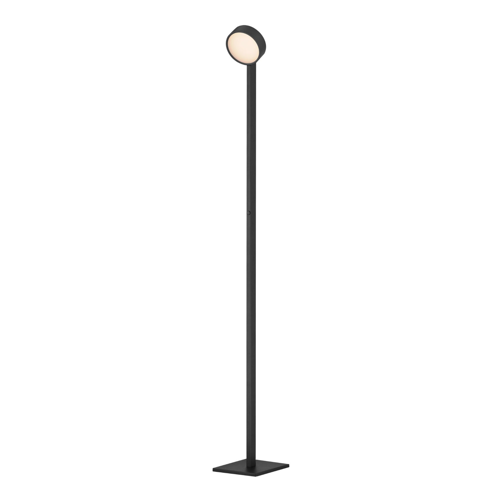 ET2 Lighting - Embrace 65" LED Adjustable Floor Lamp, Black Finish | Bees Lighting