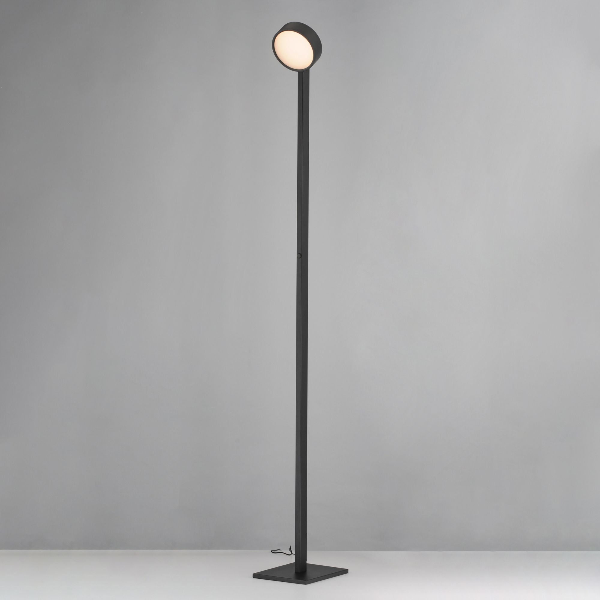 ET2 Lighting - Embrace 65" LED Adjustable Floor Lamp, Black Finish | Bees Lighting