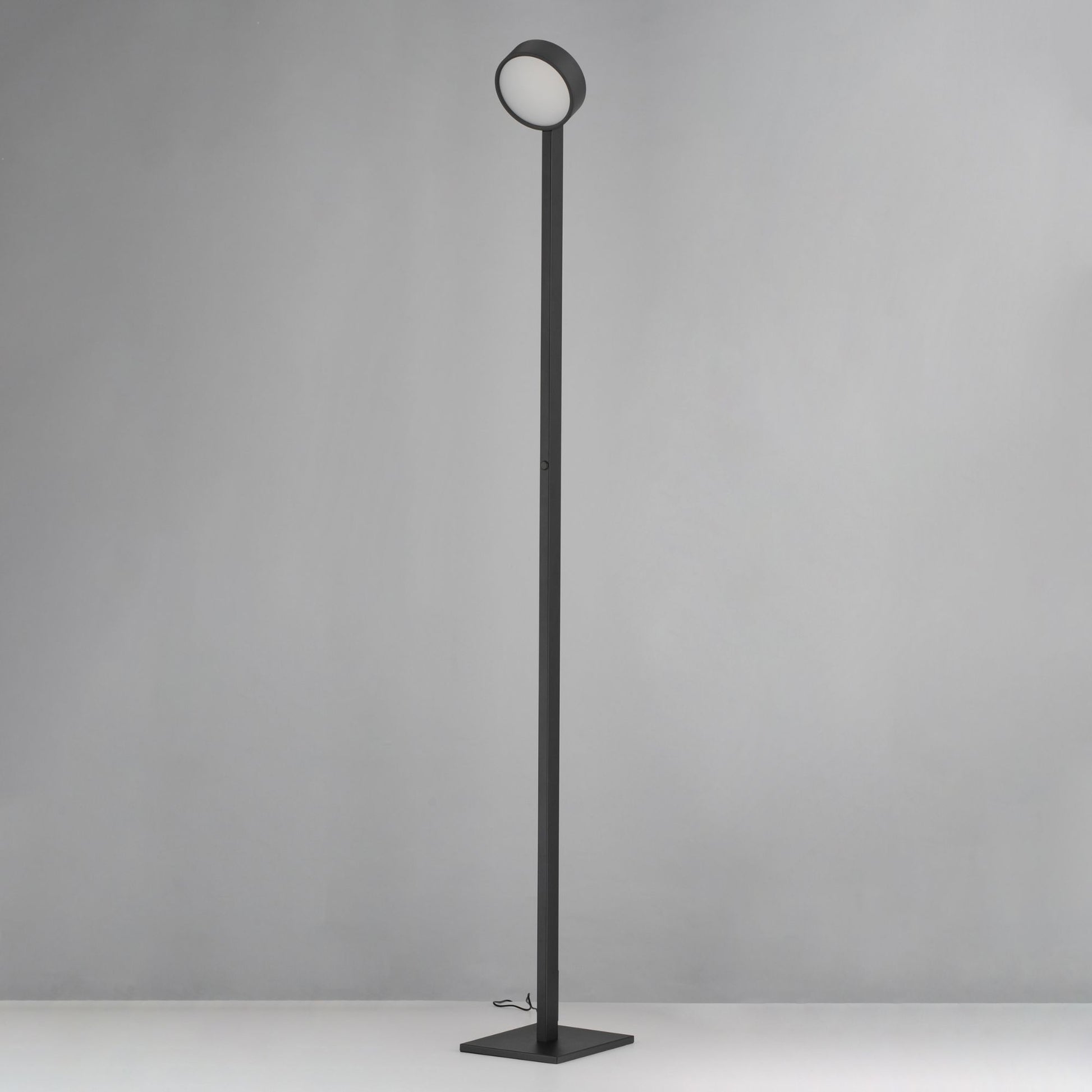 ET2 Lighting - Embrace 65" LED Adjustable Floor Lamp, Black Finish | Bees Lighting