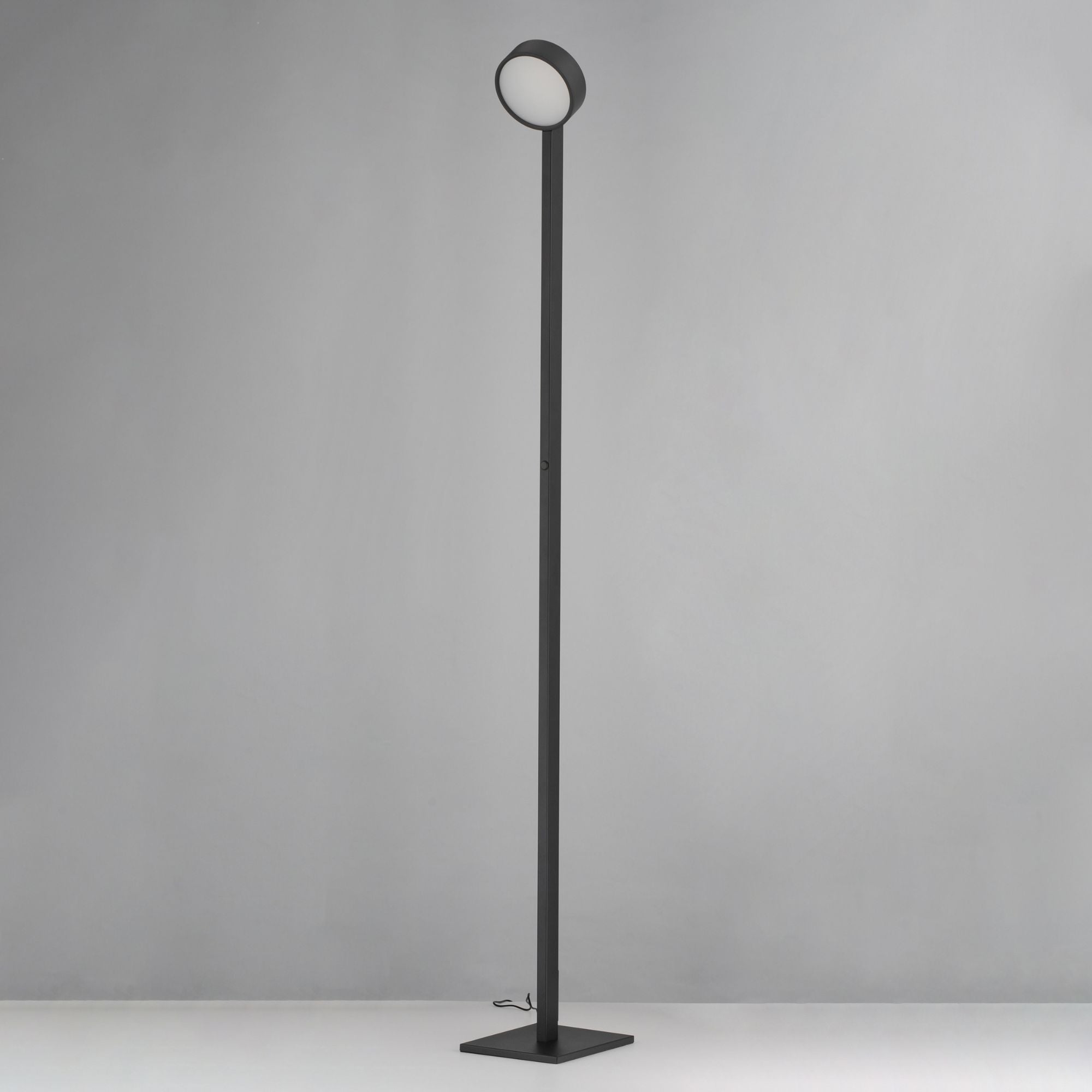 ET2 Lighting - Embrace 65" LED Adjustable Floor Lamp, Black Finish | Bees Lighting