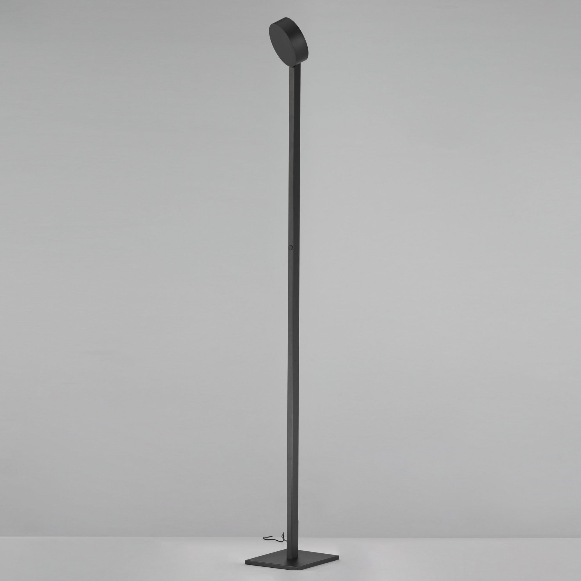 ET2 Lighting - Embrace 65" LED Adjustable Floor Lamp, Black Finish | Bees Lighting