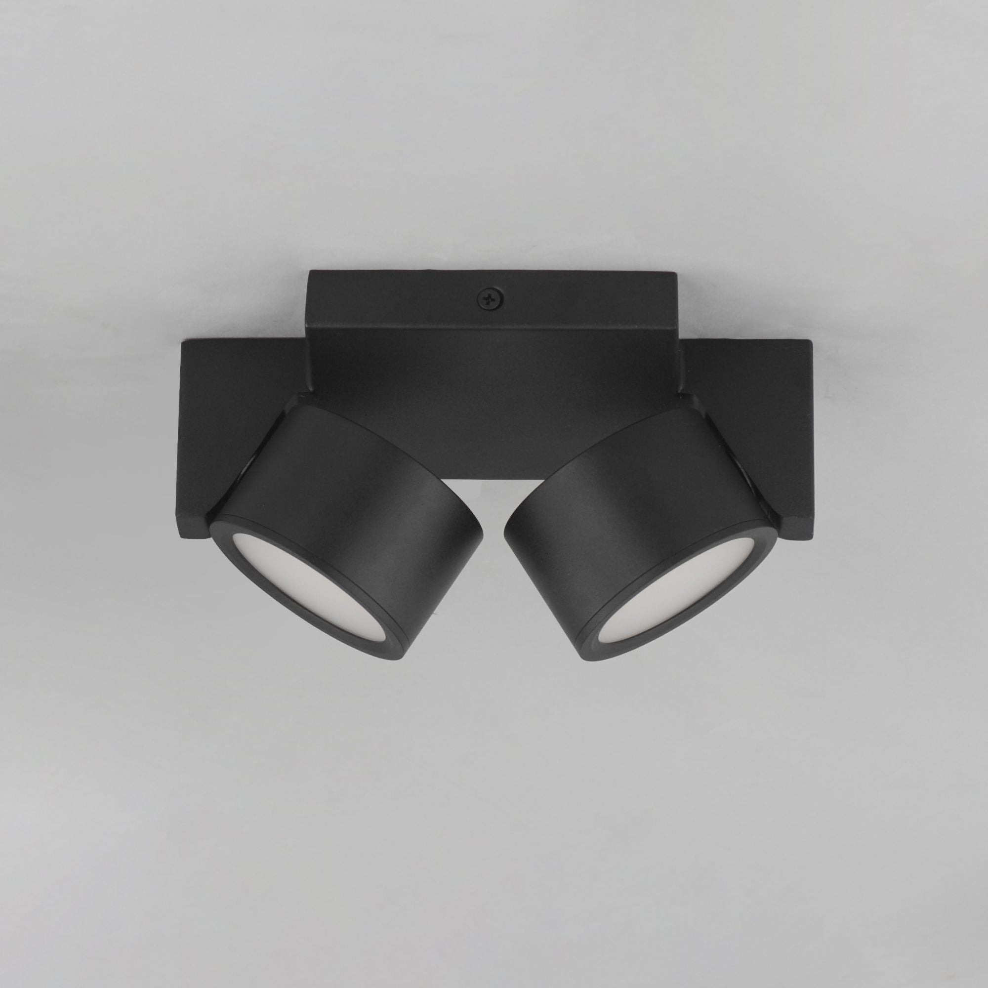 Embrace 8" 2-Light LED Flush Mount, Black Finish