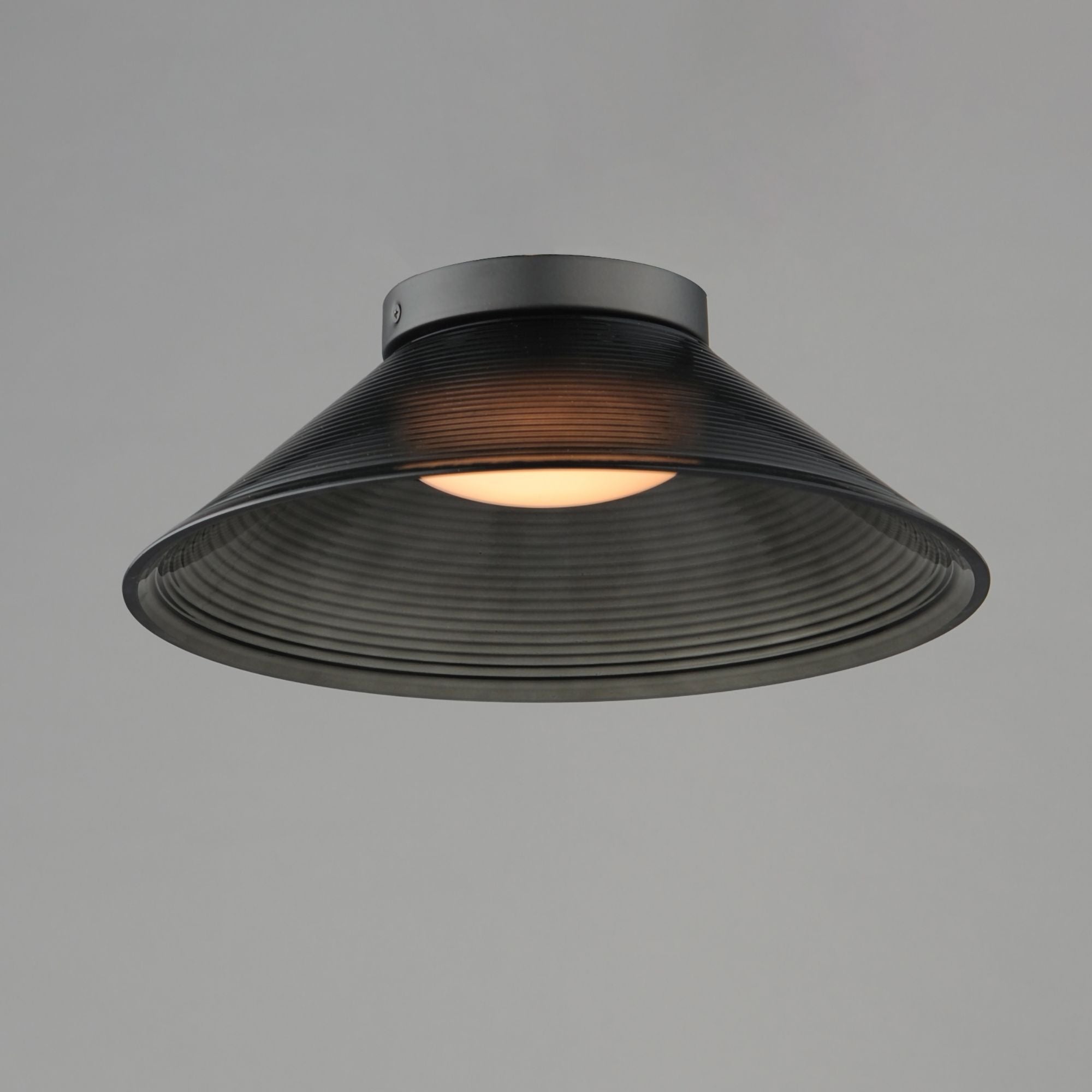 Jensen 12" LED Wall Sconce/Flush Mount, Black Finish with Smoke Glass