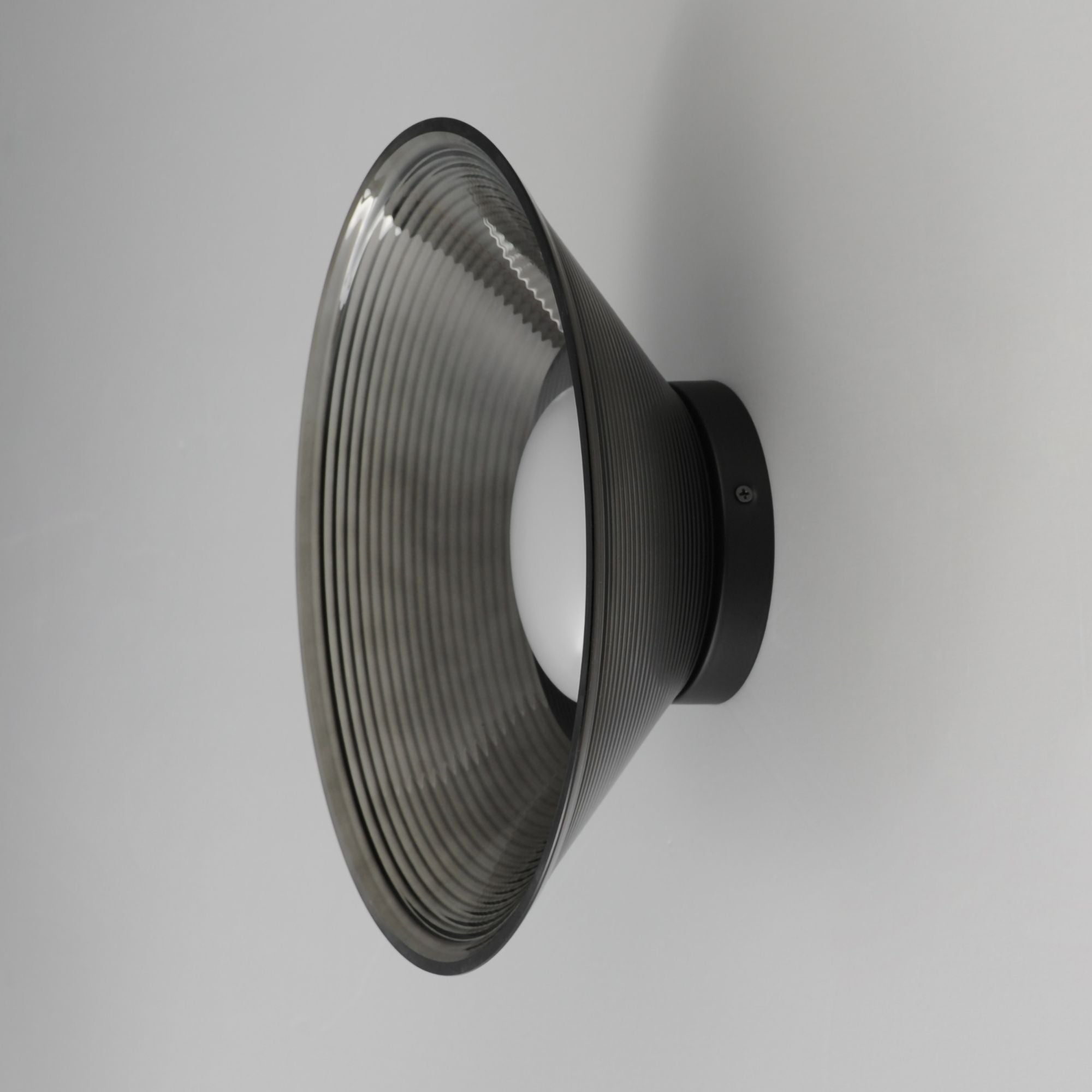 Jensen 12" LED Wall Sconce/Flush Mount, Black Finish with Smoke Glass