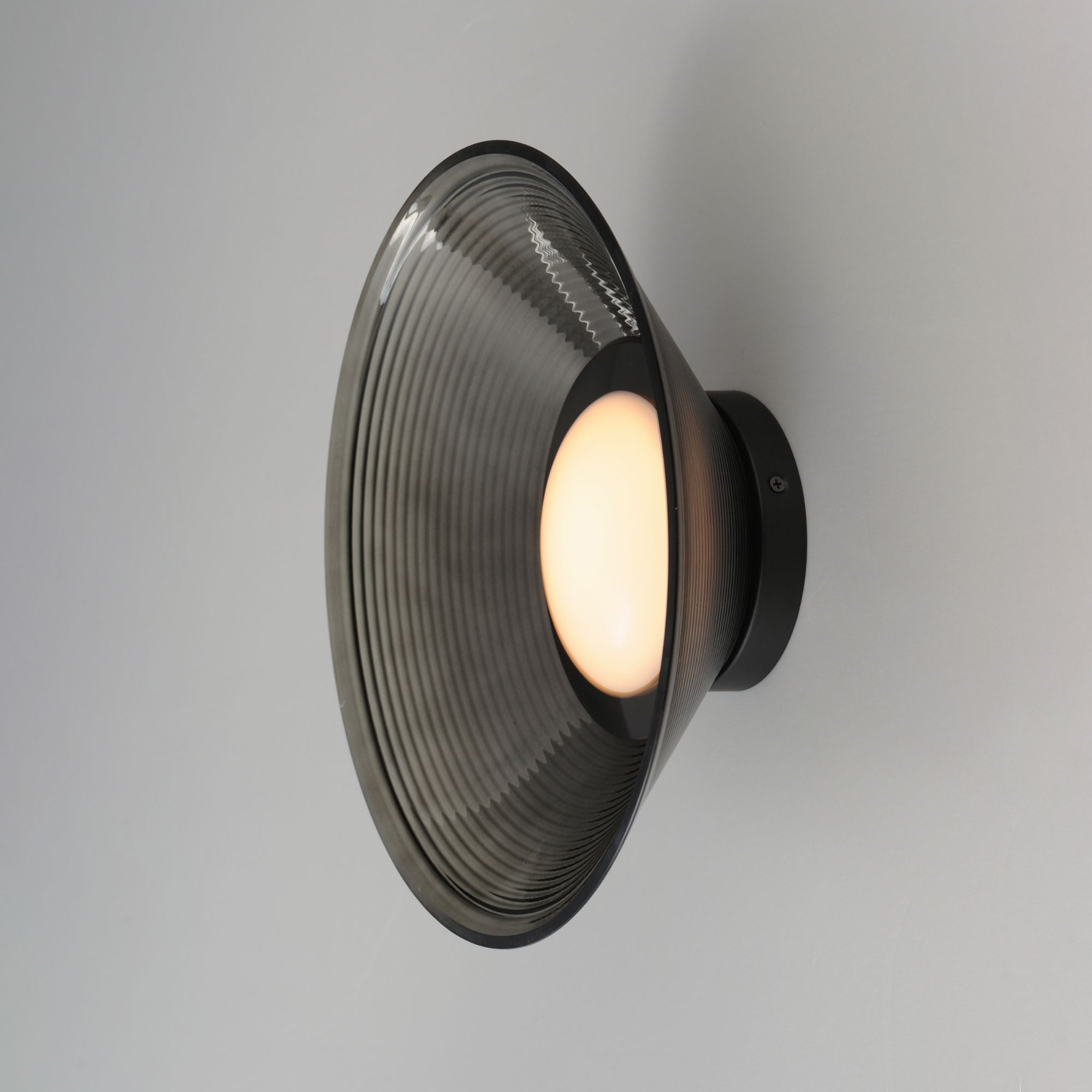 Jensen 12" LED Wall Sconce/Flush Mount, Black Finish with Smoke Glass