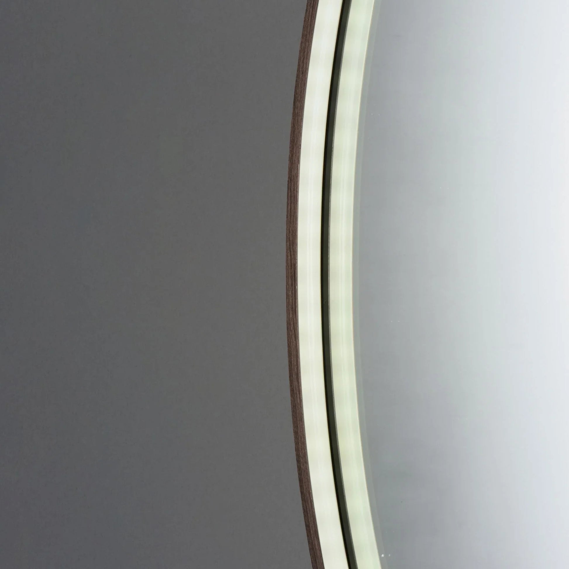 ET2 Lighting - 24" x 30" Oval LED Mirror, Anodized Bronze Finish | Bees Lighting