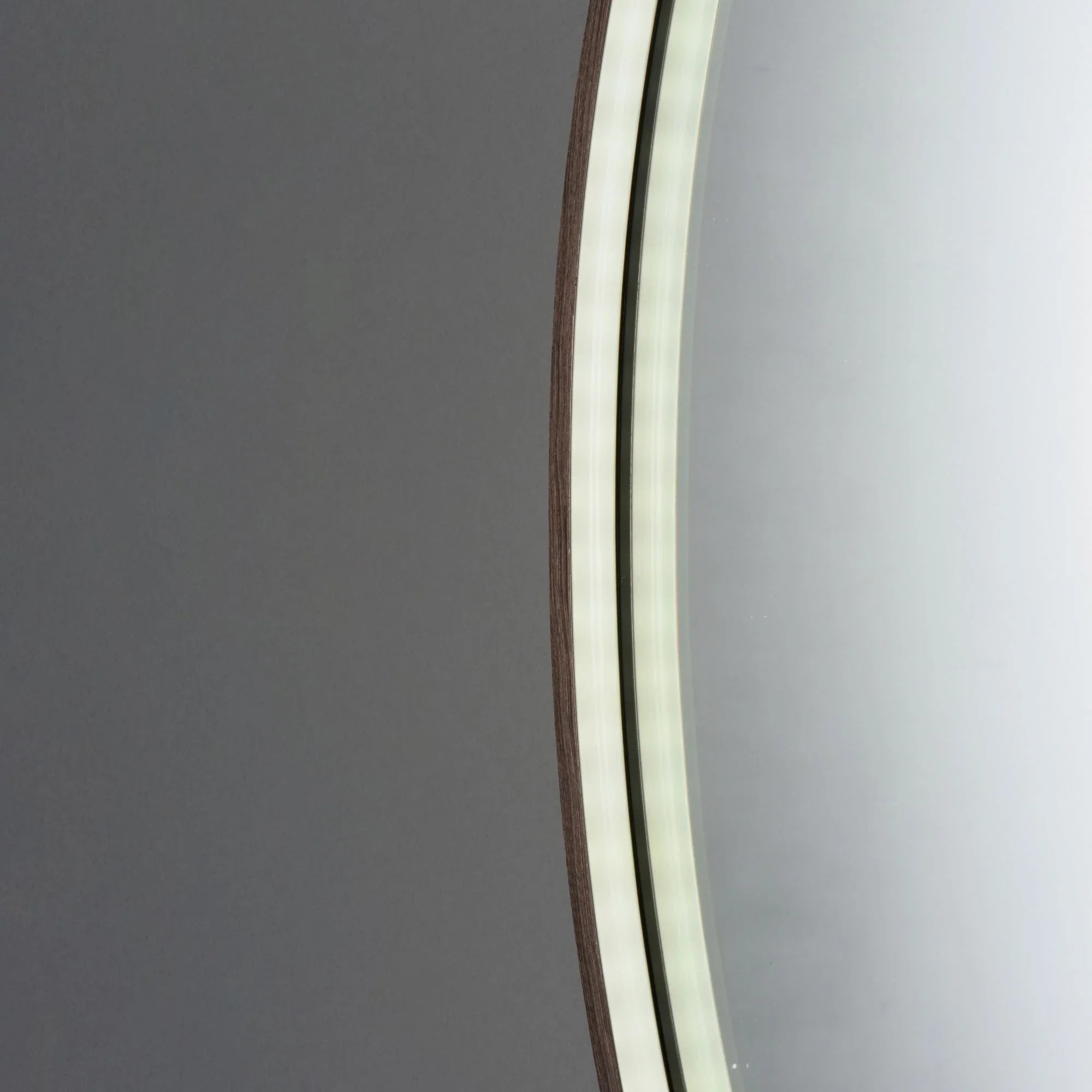 ET2 Lighting - 24" x 30" Oval LED Mirror, Anodized Bronze Finish | Bees Lighting