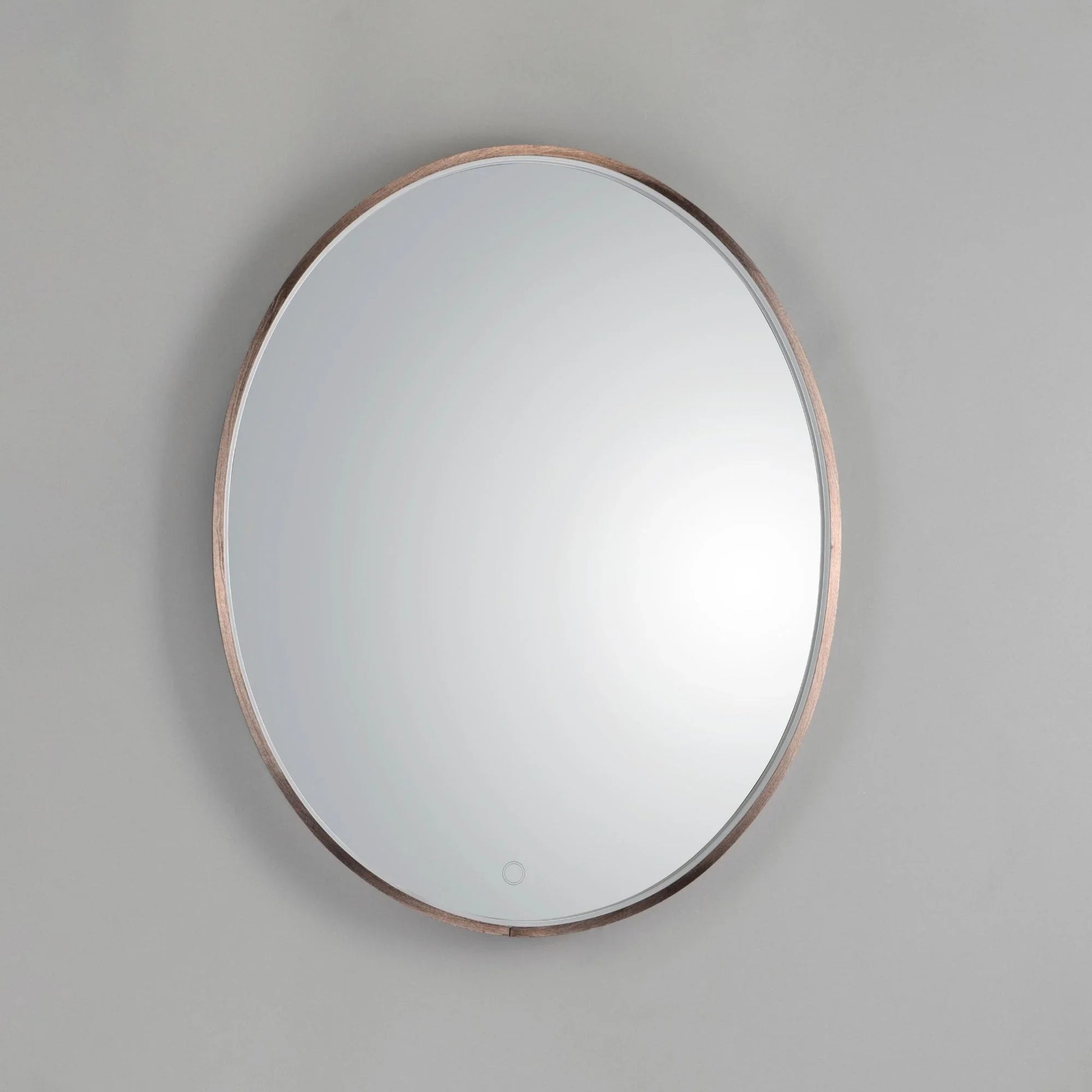 ET2 Lighting - 24" x 30" Oval LED Mirror, Anodized Bronze Finish | Bees Lighting
