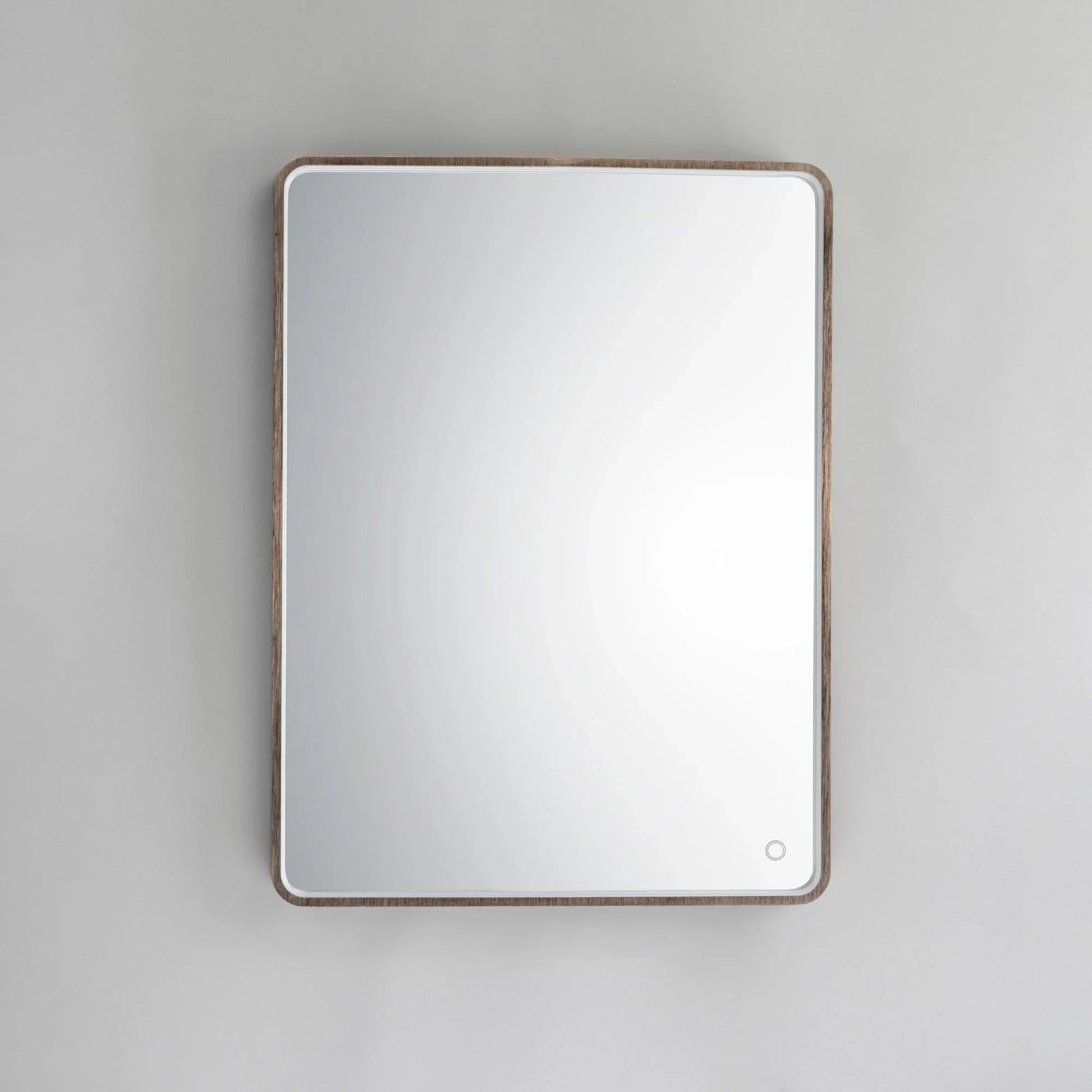 ET2 Lighting - 24" x 31.5" Rectangular LED Mirror, Anodized Bronze Finish | Bees Lighting