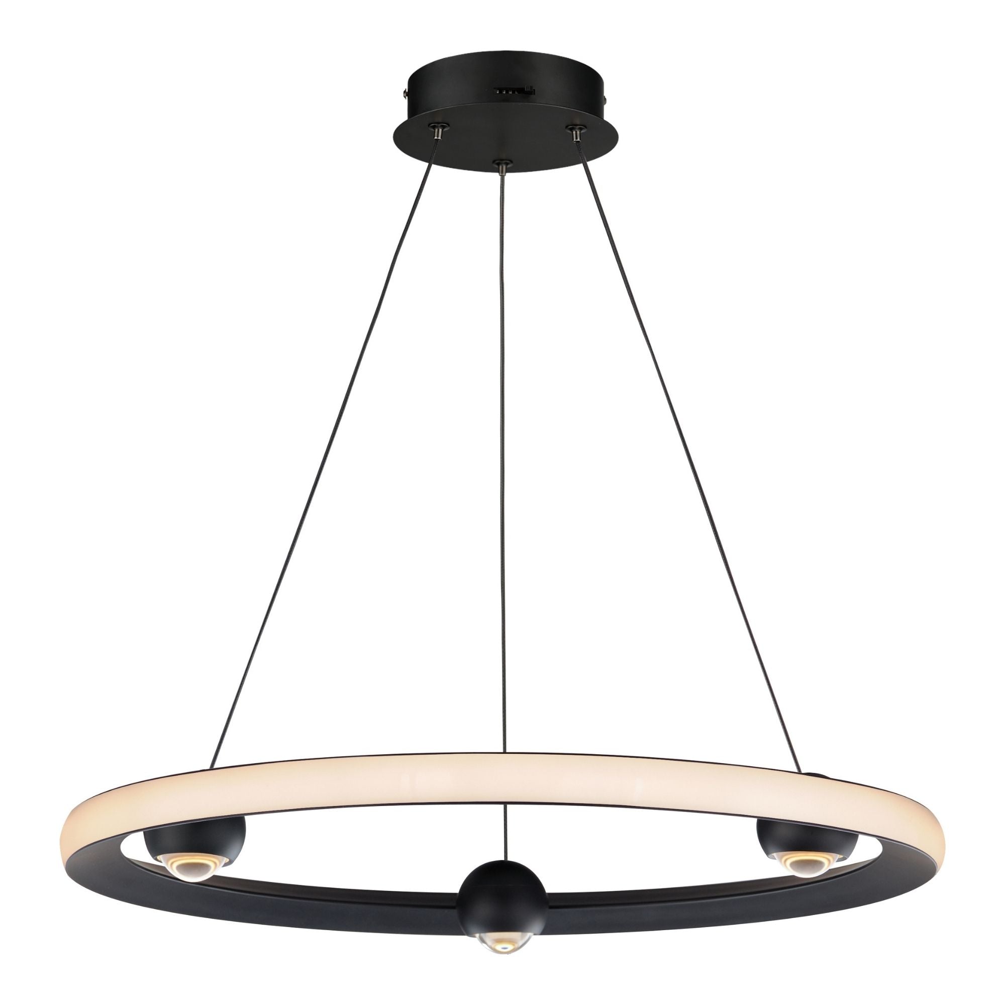 Nodes 24" LED Pendant, Black Finish