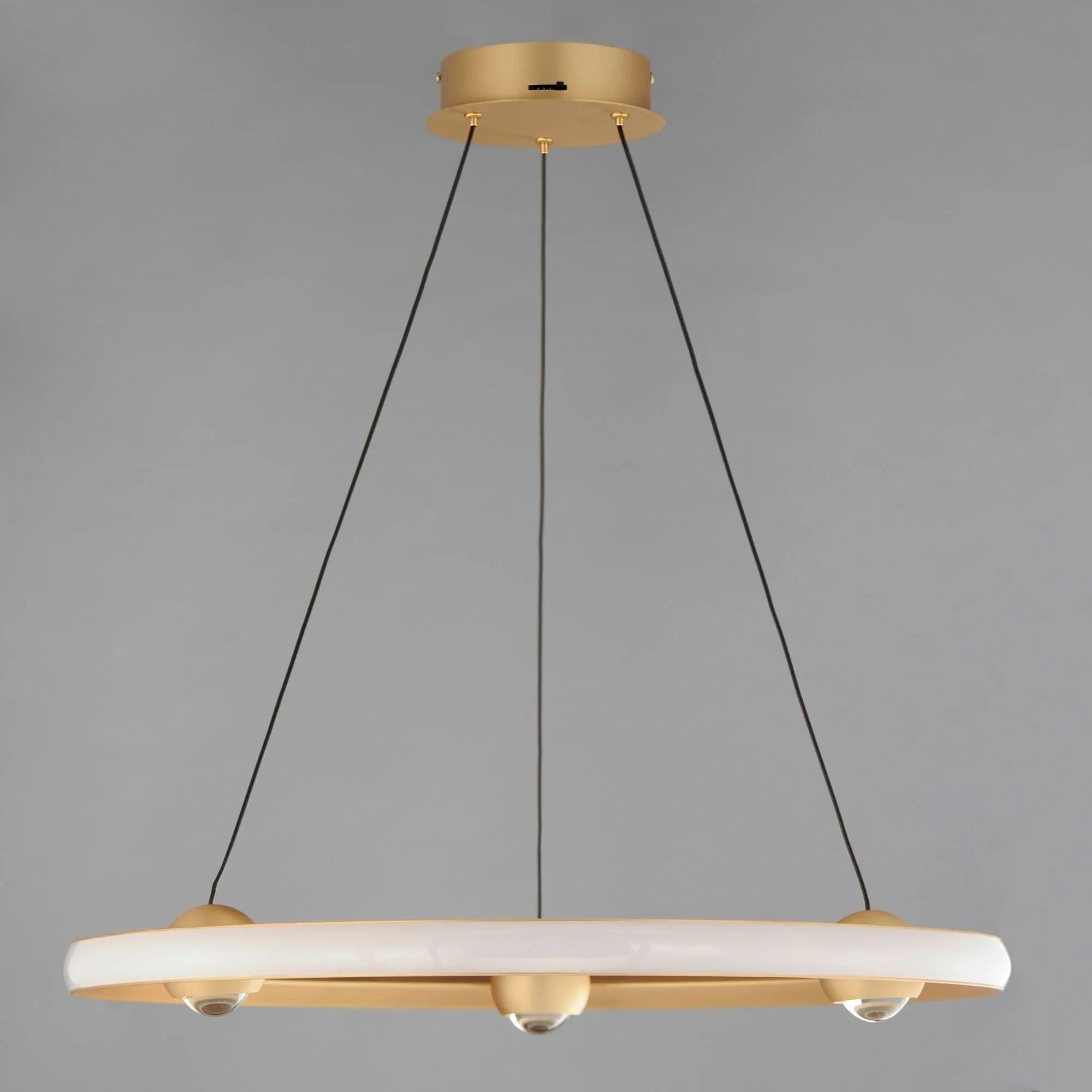 Nodes 24" LED Pendant, Gold Finish