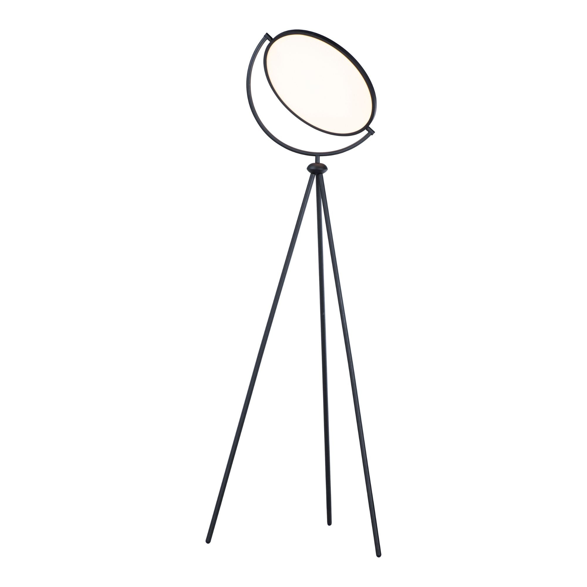 Paddle 68" Floor Lamp with Edge-Lit Adjustable Disc, Black Finish