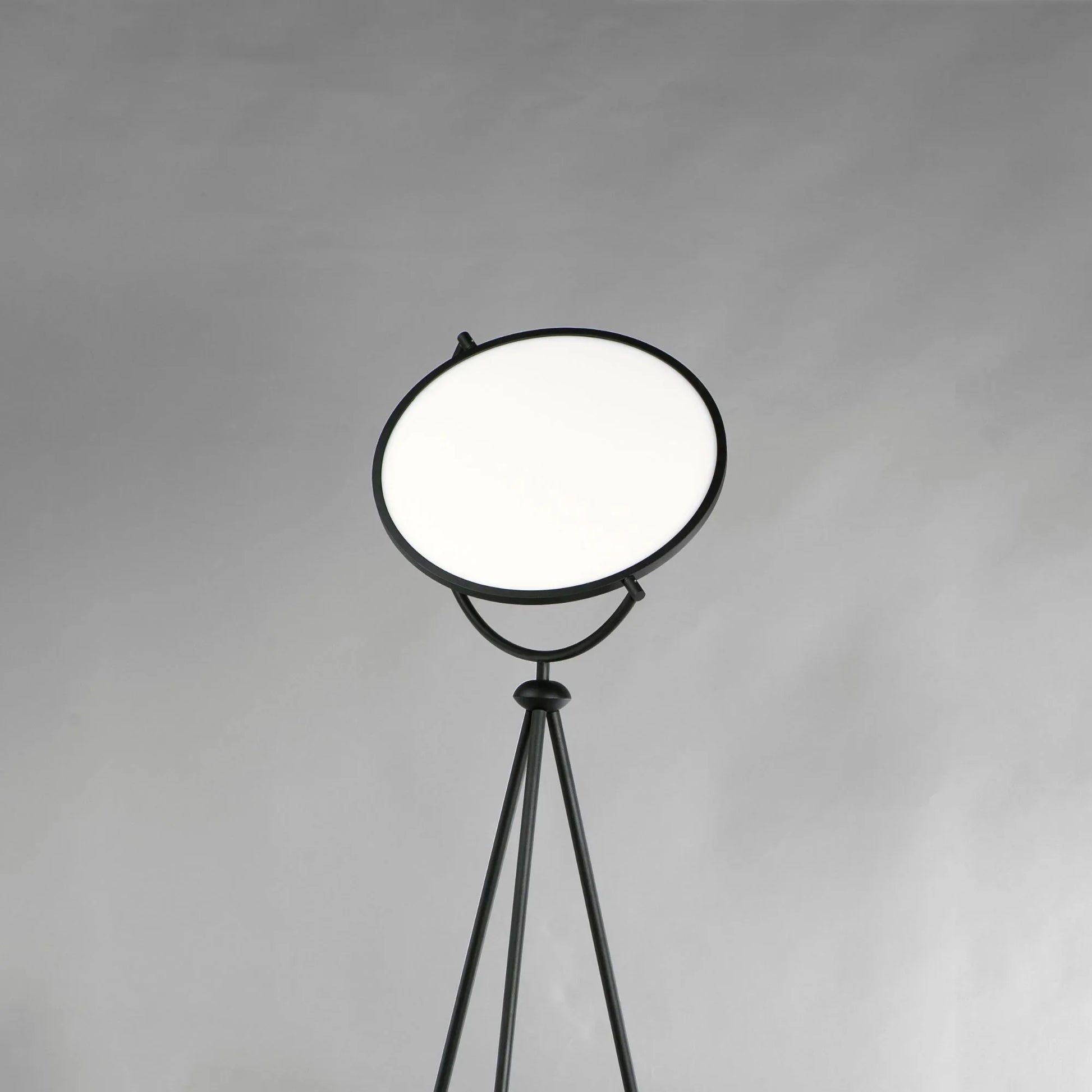 ET2 Lighting - Paddle 68" Floor Lamp with Edge-Lit Adjustable Disc, Black Finish | Bees Lighting