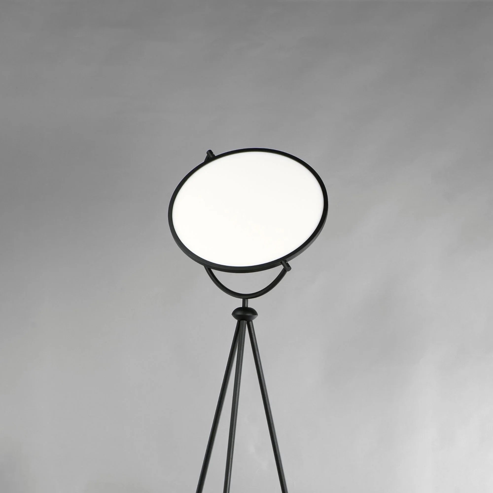 ET2 Lighting - Paddle 68" Floor Lamp with Edge-Lit Adjustable Disc, Black Finish | Bees Lighting