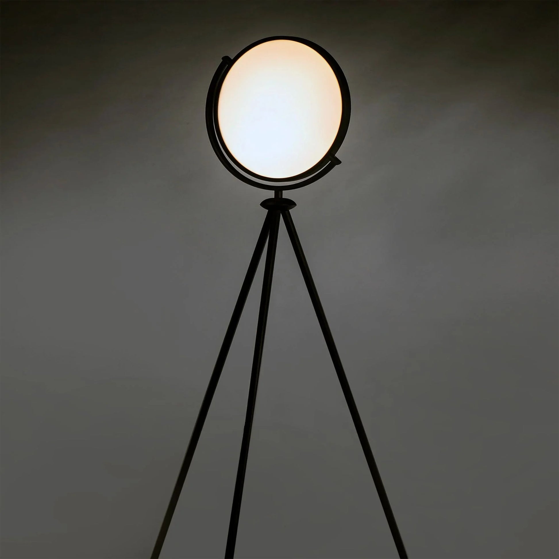 ET2 Lighting - Paddle 68" Floor Lamp with Edge-Lit Adjustable Disc, Black Finish | Bees Lighting
