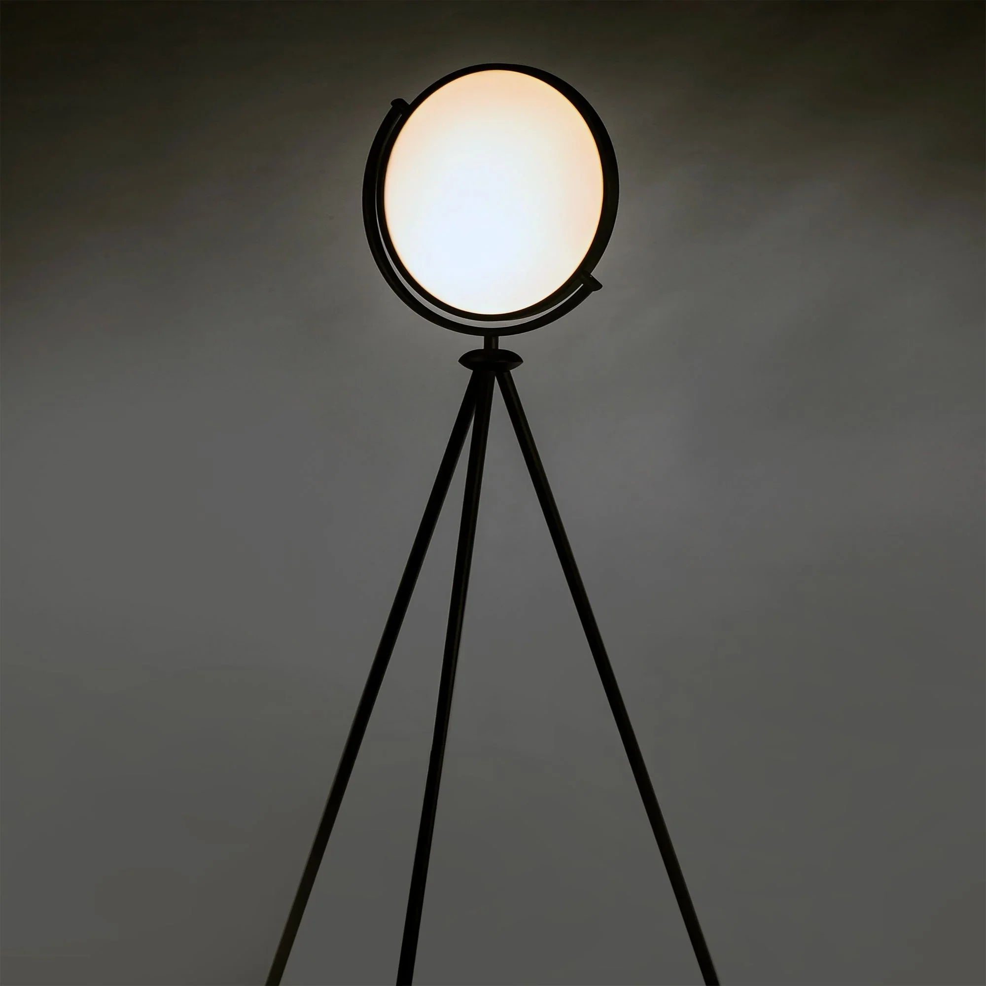 ET2 Lighting - Paddle 68" Floor Lamp with Edge-Lit Adjustable Disc, Black Finish | Bees Lighting