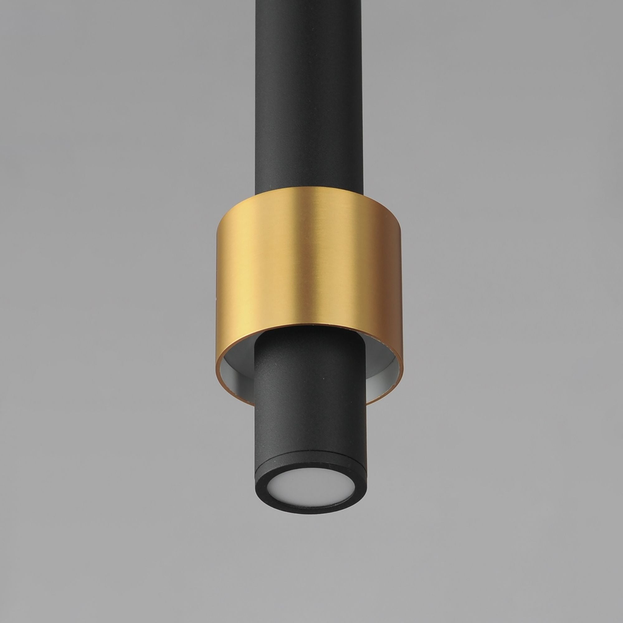 Reveal LED Mini Pendant, Black & Gold Finish