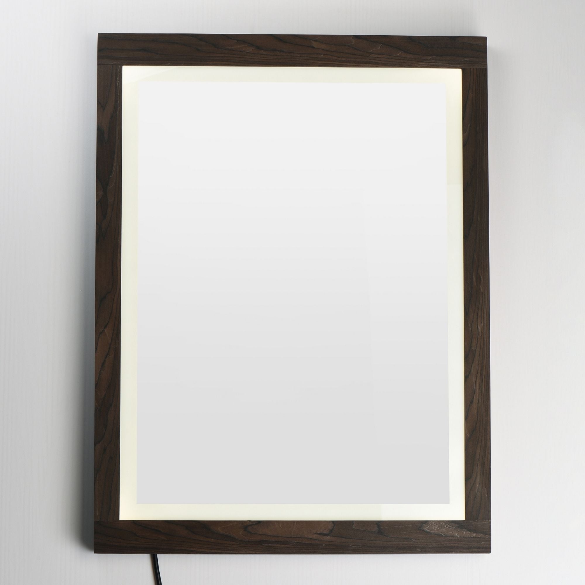 ET2 Lighting - Sawyer 24" x 32" Walnut Framed LED Mirror | Bees Lighting
