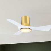 Flush mount ceiling fan with brushed brass canopy, white blades, and LED light cover