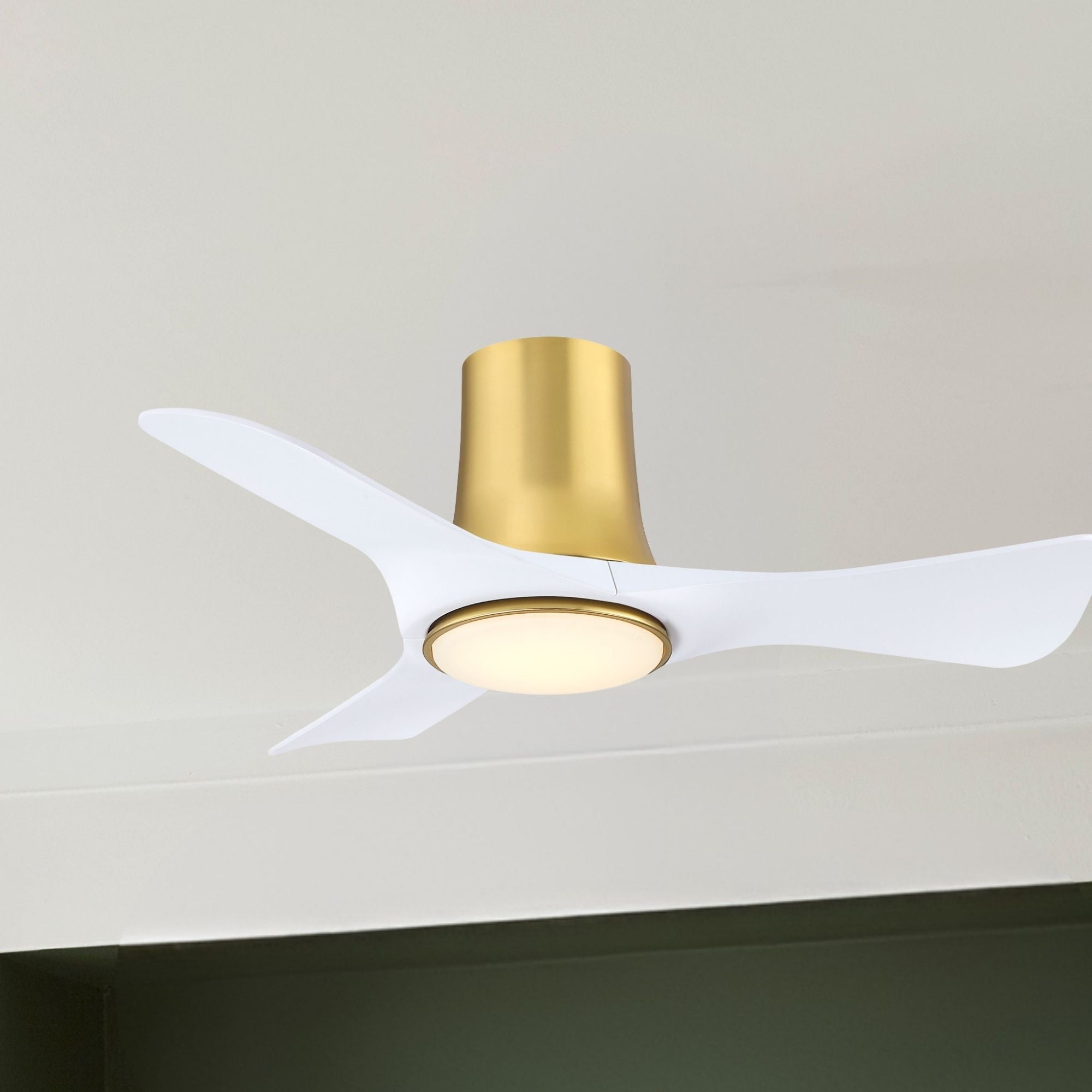 Fanimation Corke Flush Mount Ceiling Fan with LED Light DC Motor