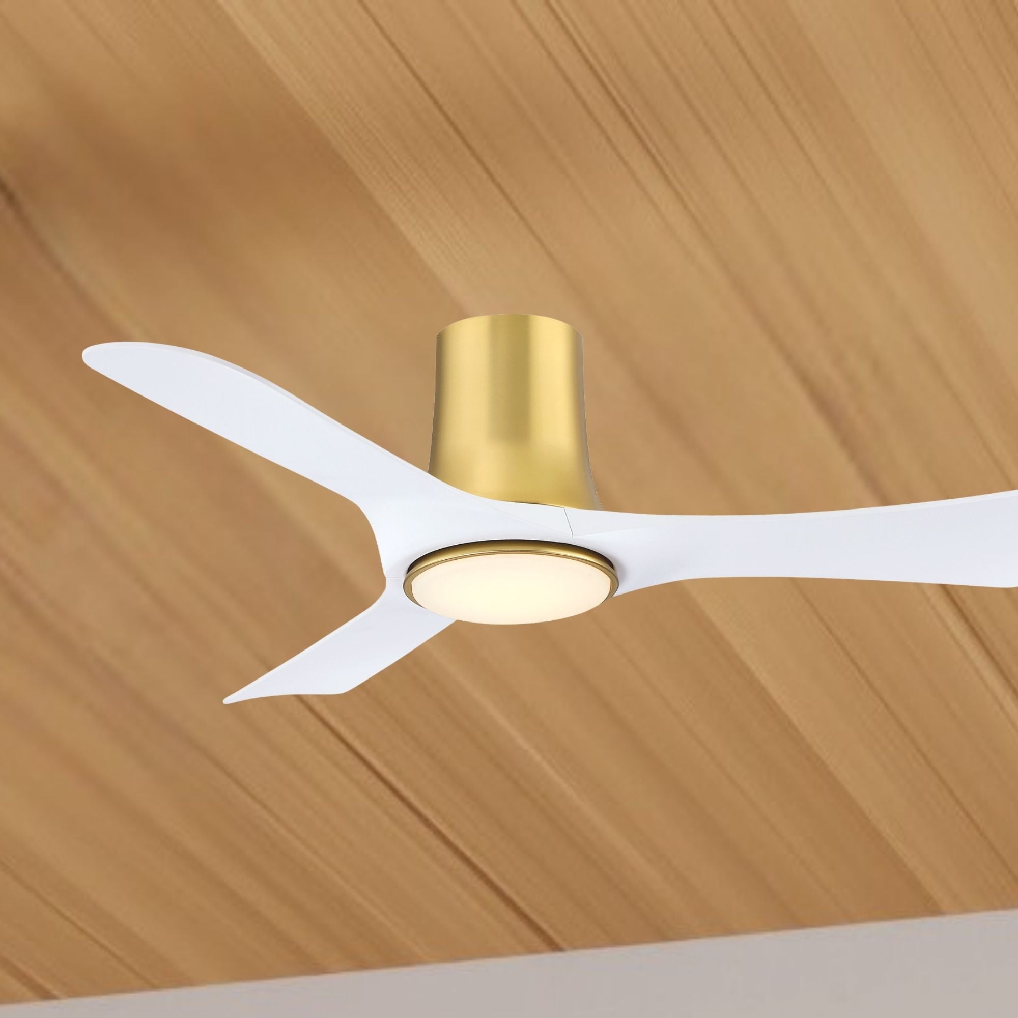 Fanimation Corke Flush Mount Ceiling Fan with LED Light DC Motor