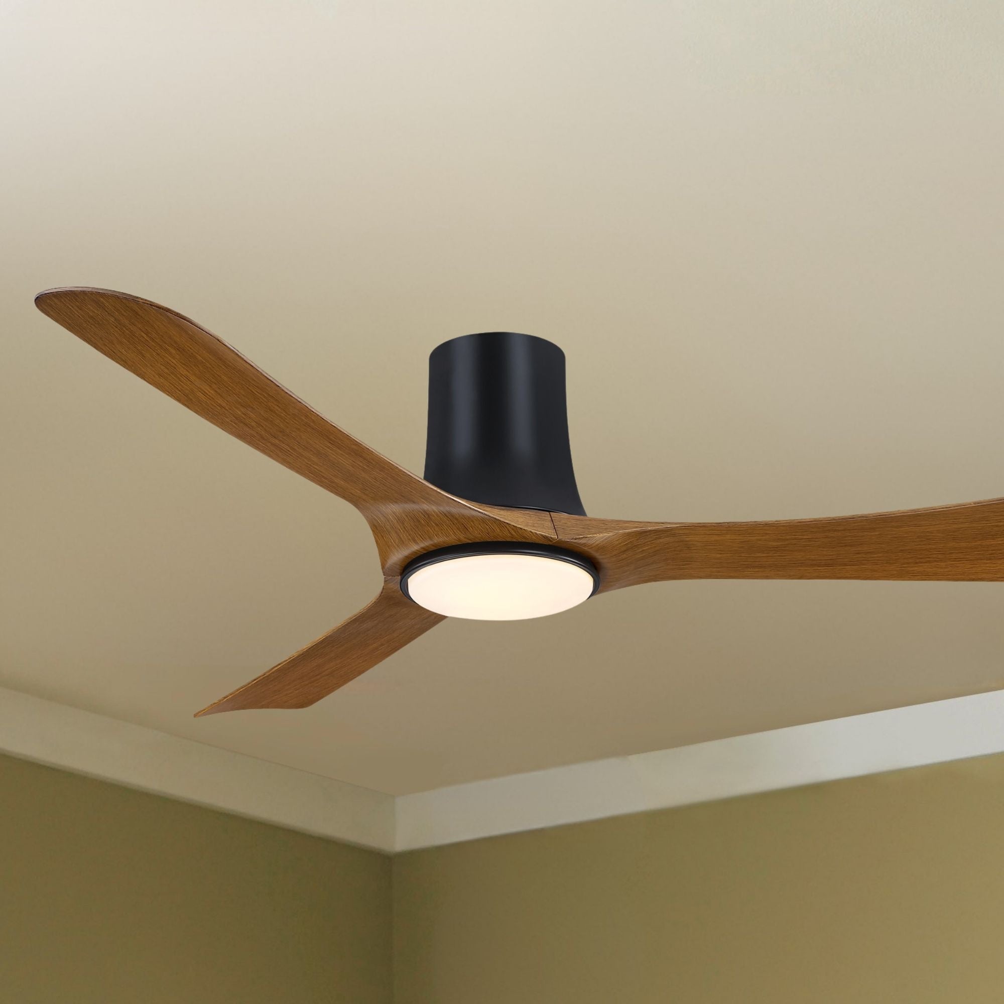 Fanimation Corke Flush Mount Ceiling Fan with LED Light DC Motor