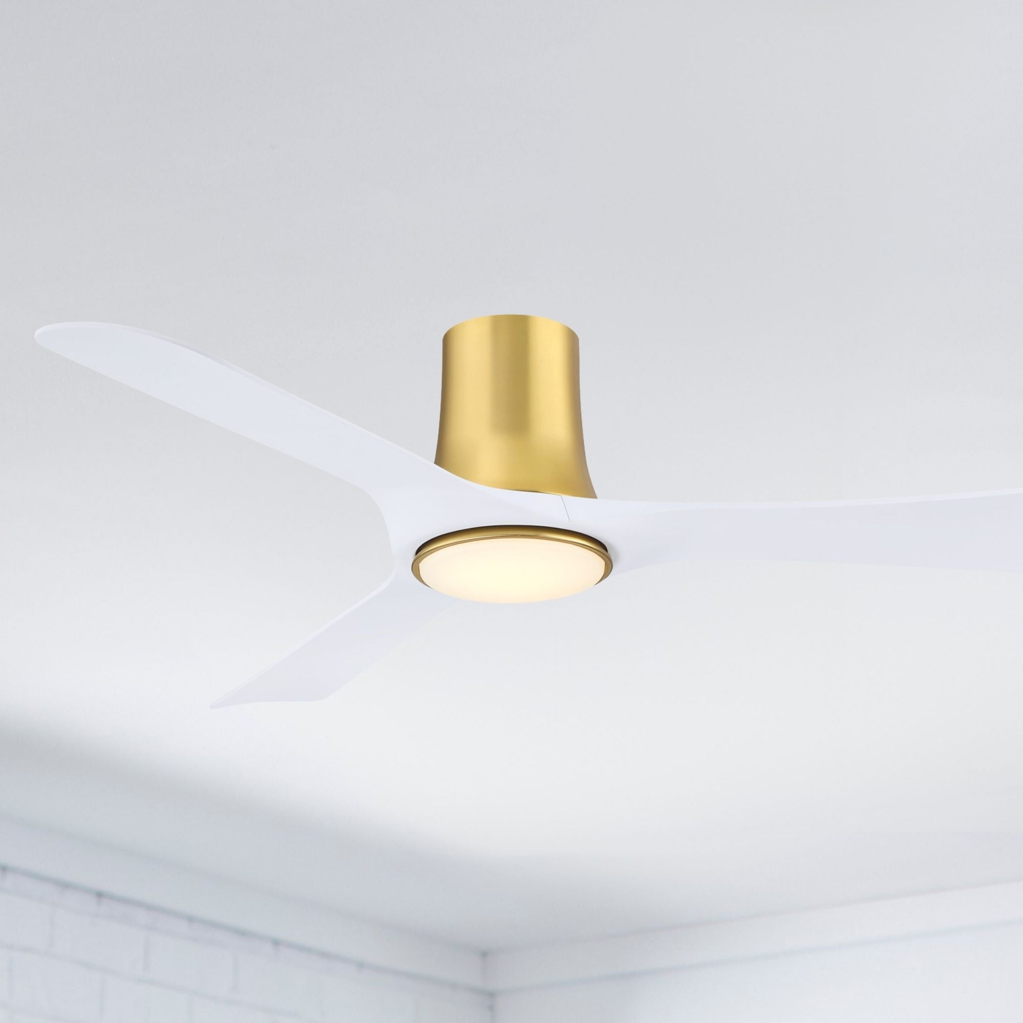 Fanimation Corke Flush Mount Ceiling Fan with LED Light DC Motor