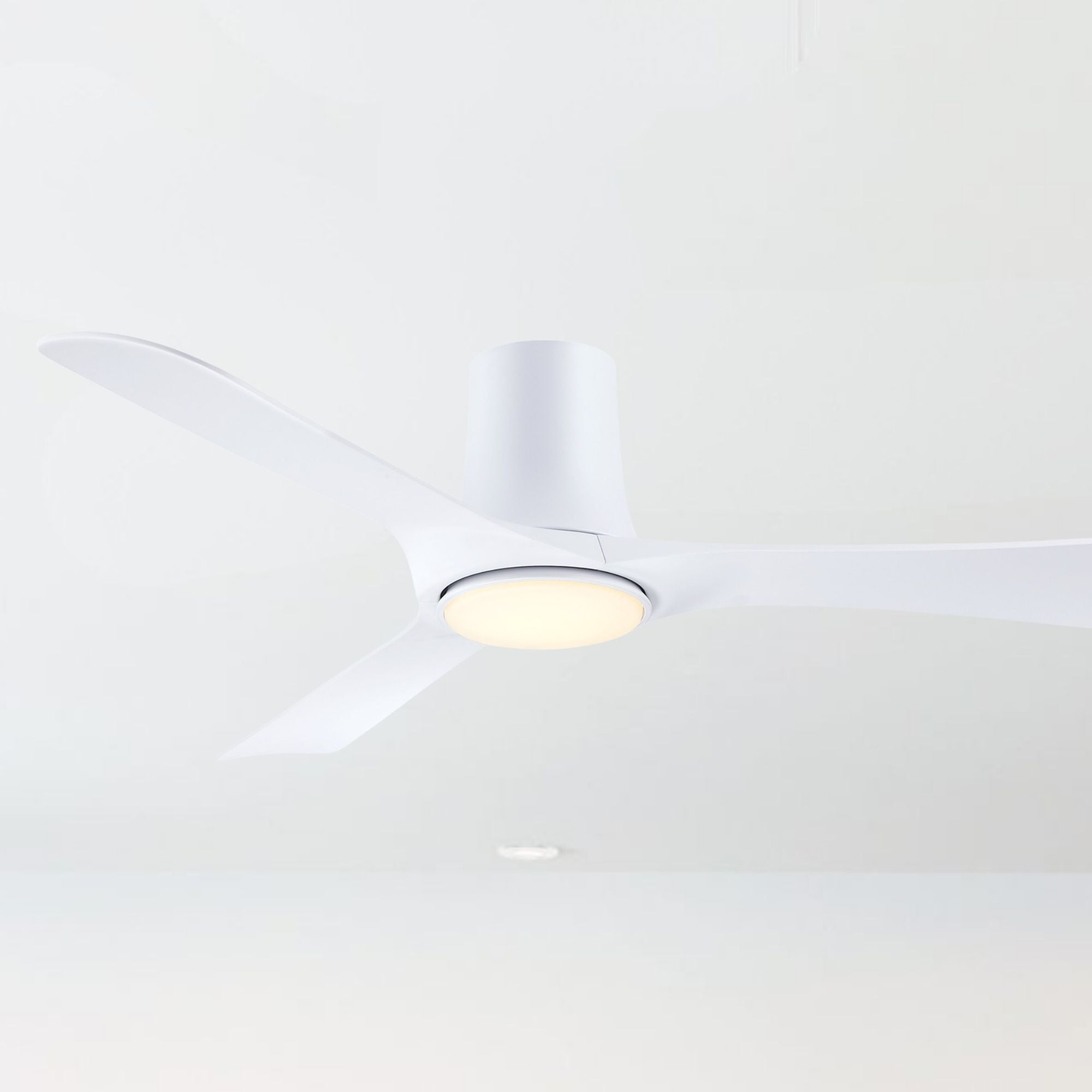 Fanimation Corke Flush Mount Ceiling Fan with LED Light DC Motor