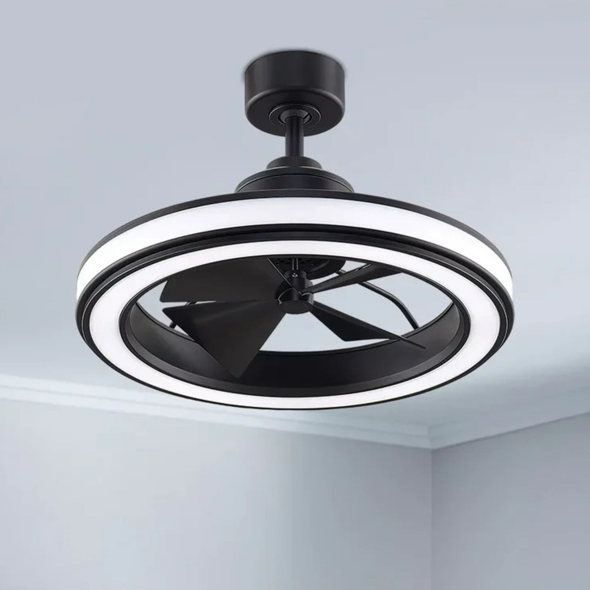 Fanimation - Gleam 24" Black Damp Rated Modern Chandelier Ceiling Fan with Light and Remote | Bees Lighting