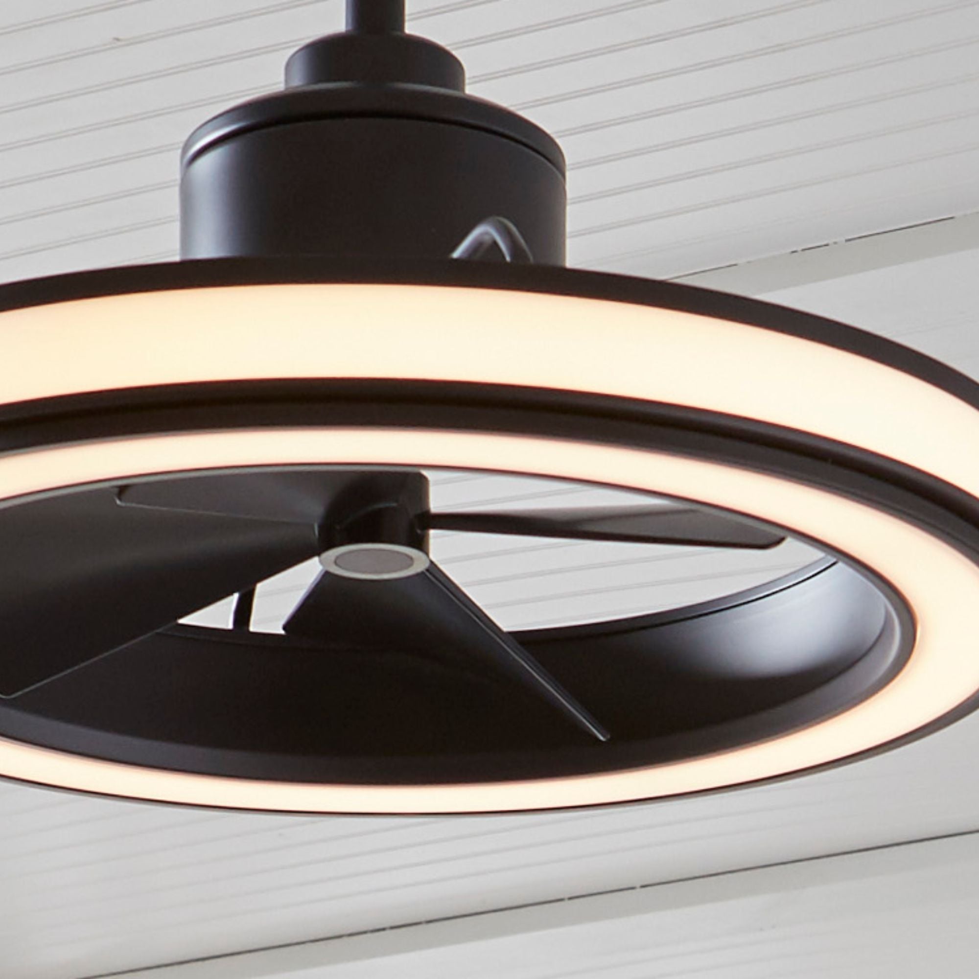 Fanimation - Gleam 24" Black Damp Rated Modern Chandelier Ceiling Fan with Light and Remote | Bees Lighting