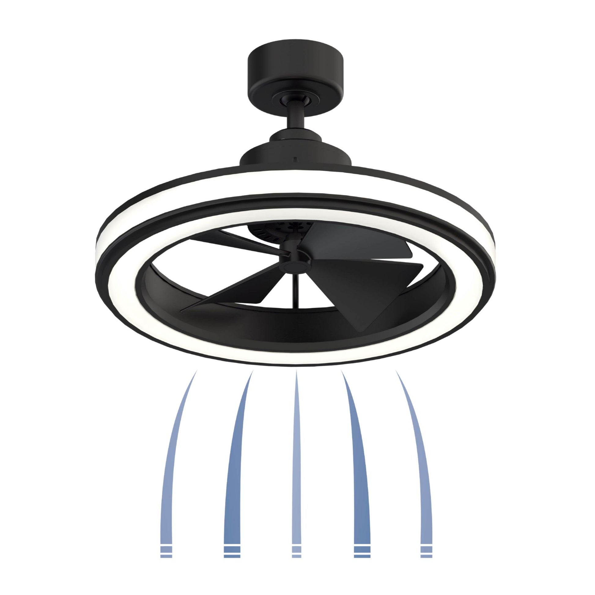 Fanimation - Gleam 24" Black Damp Rated Modern Chandelier Ceiling Fan with Light and Remote | Bees Lighting