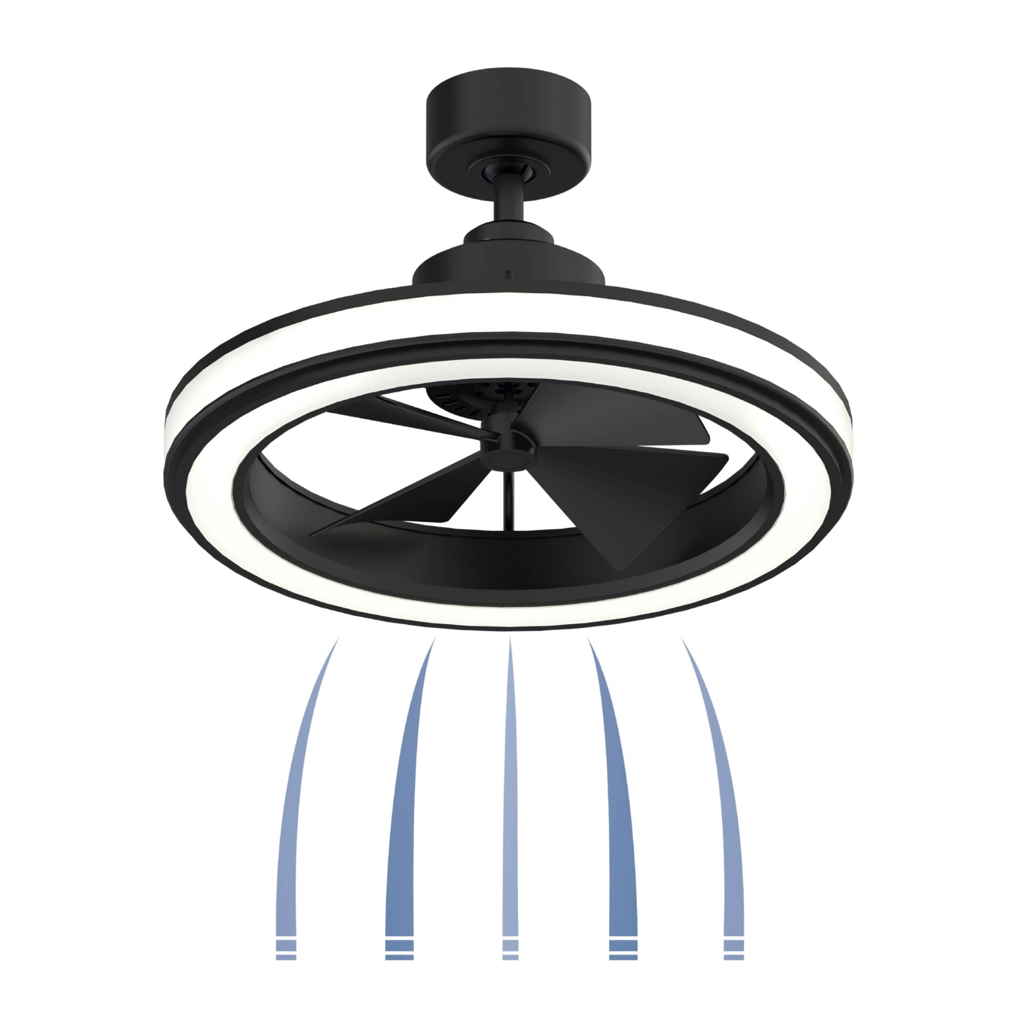 Fanimation - Gleam 24" Black Damp Rated Modern Chandelier Ceiling Fan with Light and Remote | Bees Lighting