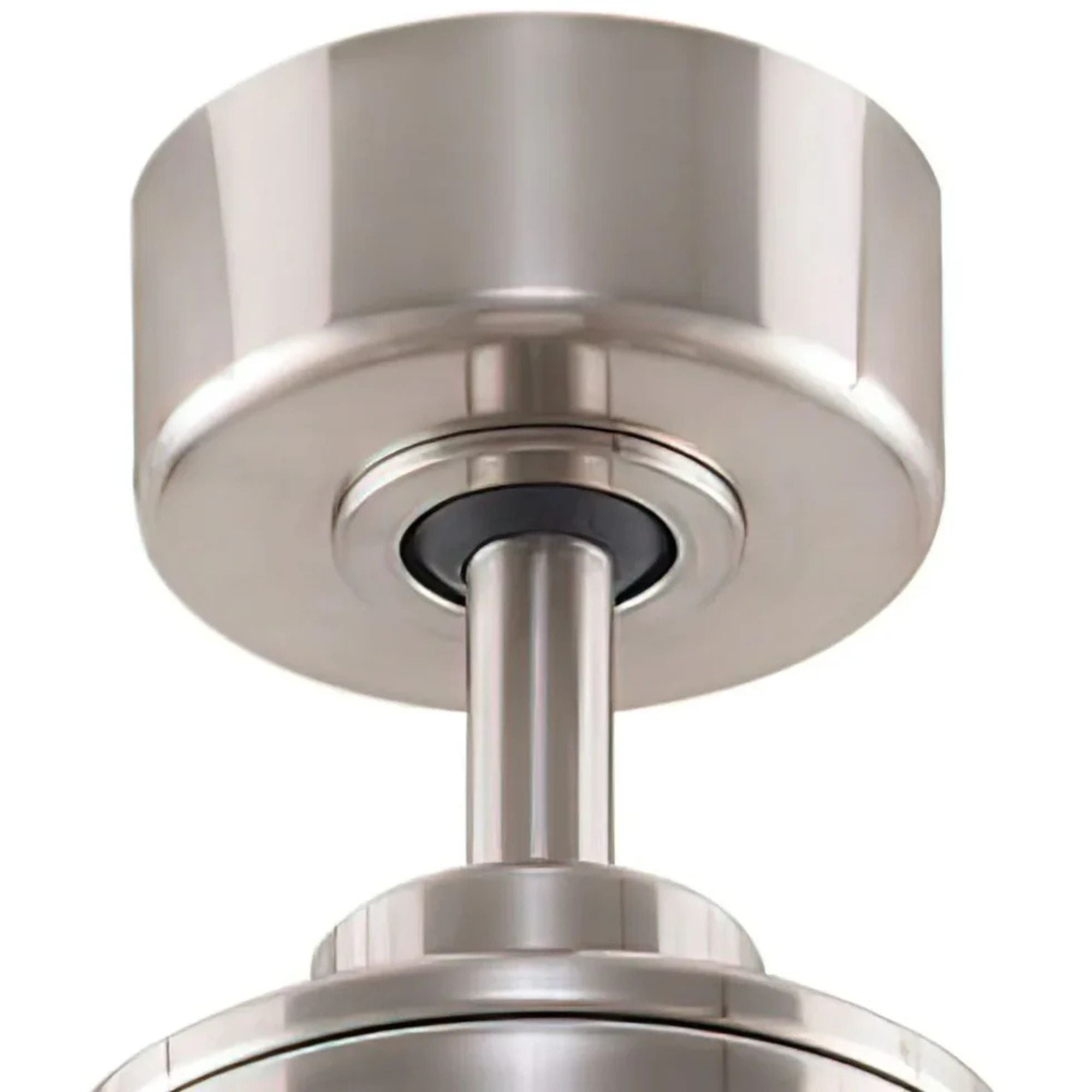 Fanimation - Gleam 24" Brushed Nickel Damp Rated Modern Chandelier Ceiling Fan with Light and Remote | Bees Lighting