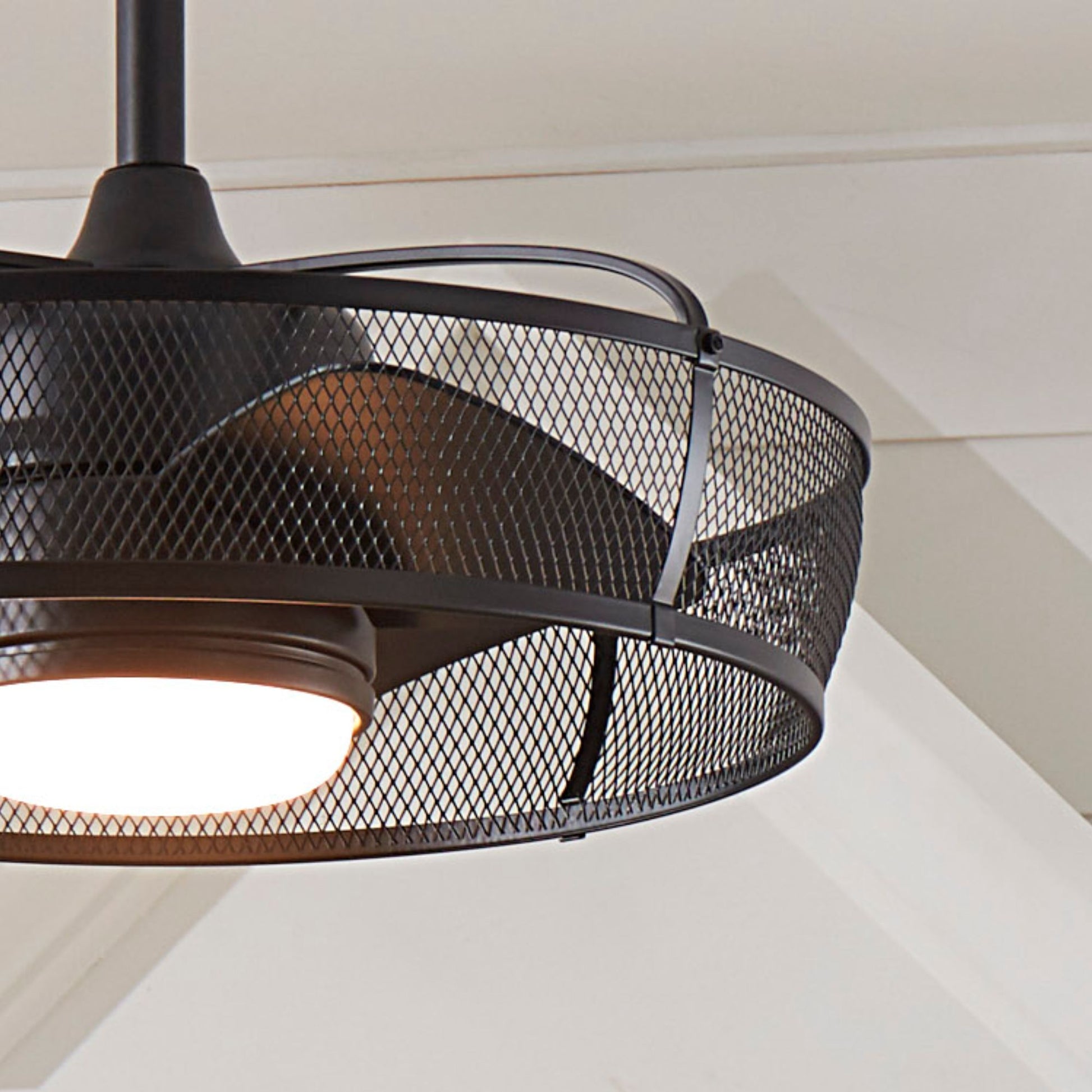 Fanimation - Henry 20" Black Damp Rated Cage Chandelier Ceiling Fan with Light and Remote | Bees Lighting