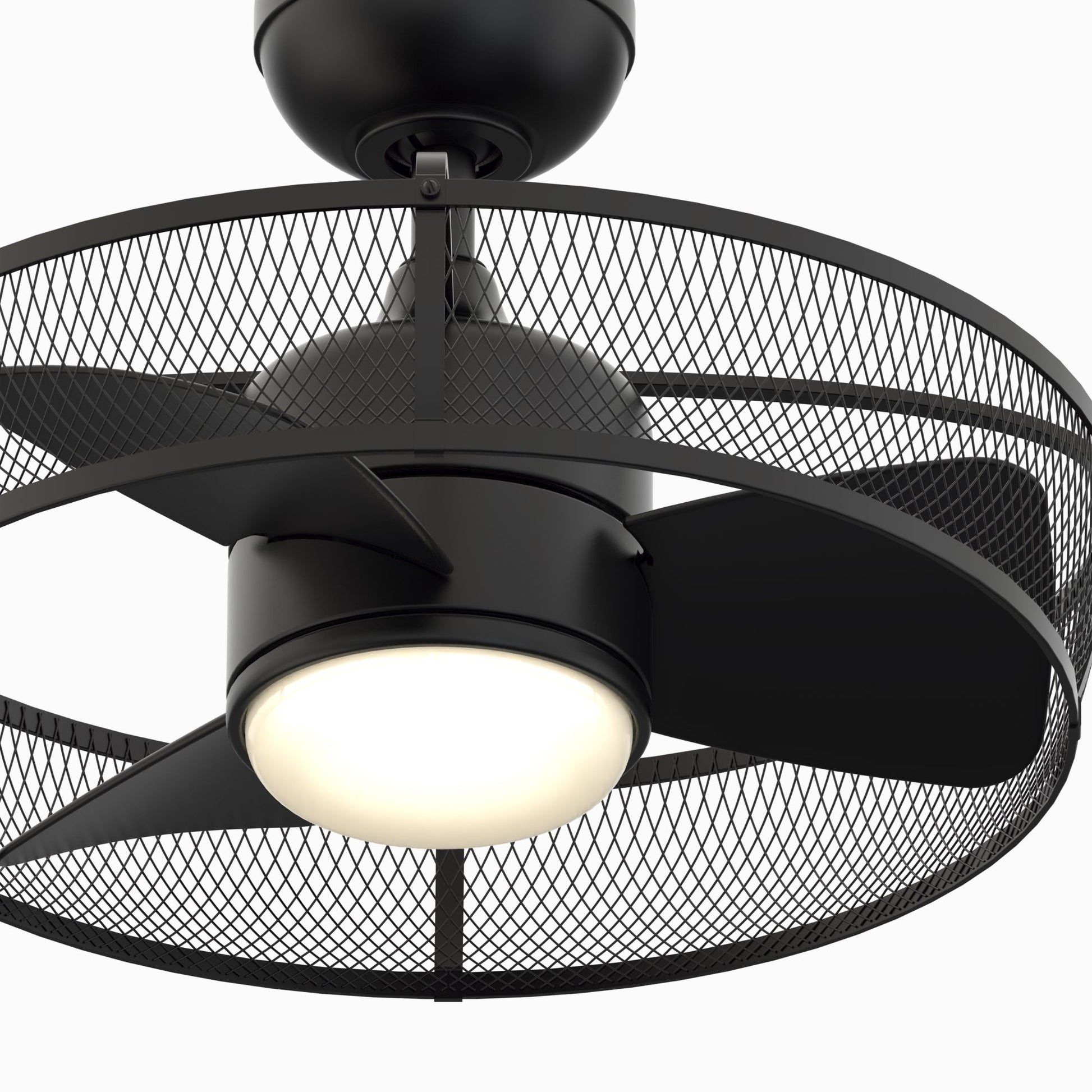 Fanimation - Henry 20" Black Damp Rated Cage Chandelier Ceiling Fan with Light and Remote | Bees Lighting