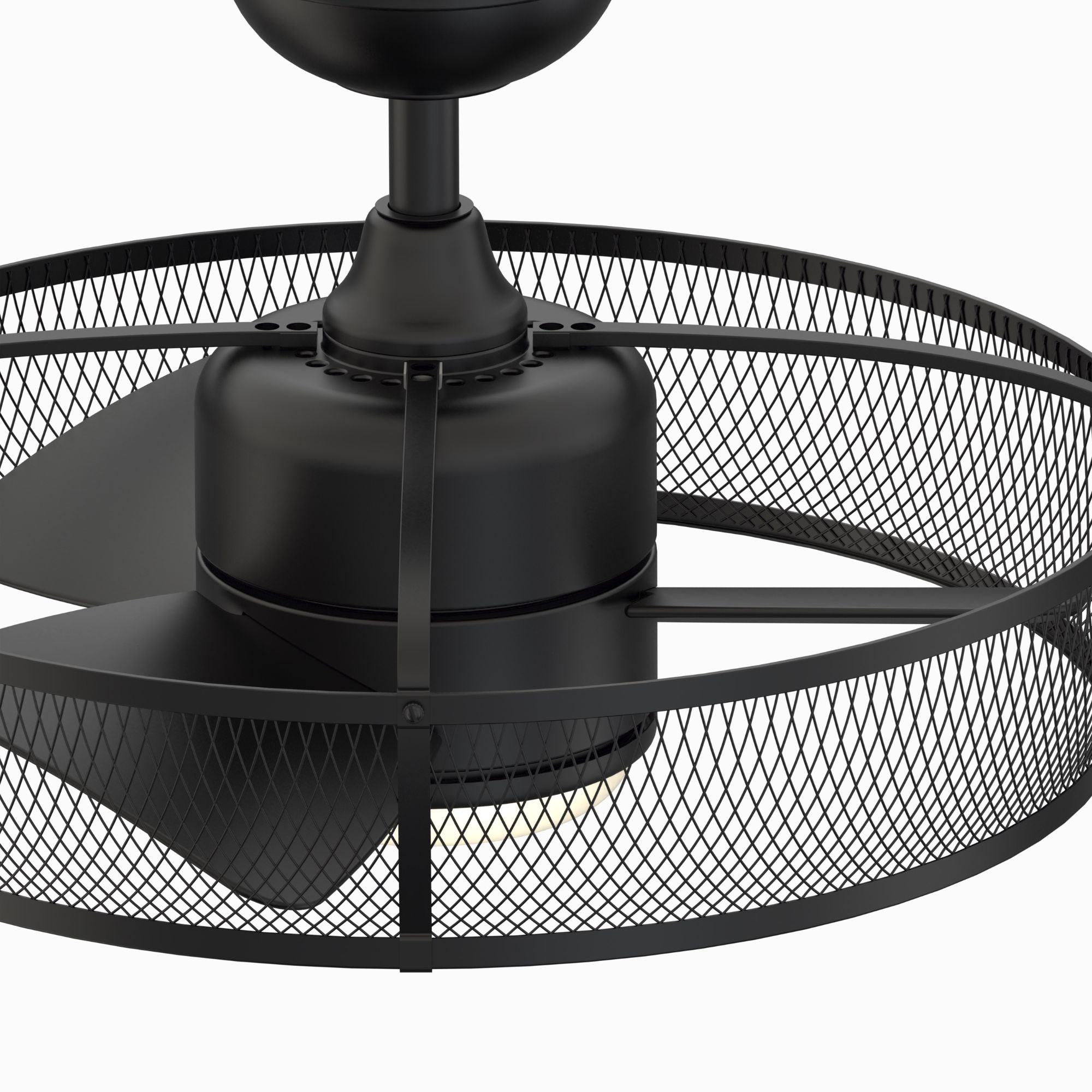 Fanimation - Henry 20" Black Damp Rated Cage Chandelier Ceiling Fan with Light and Remote | Bees Lighting