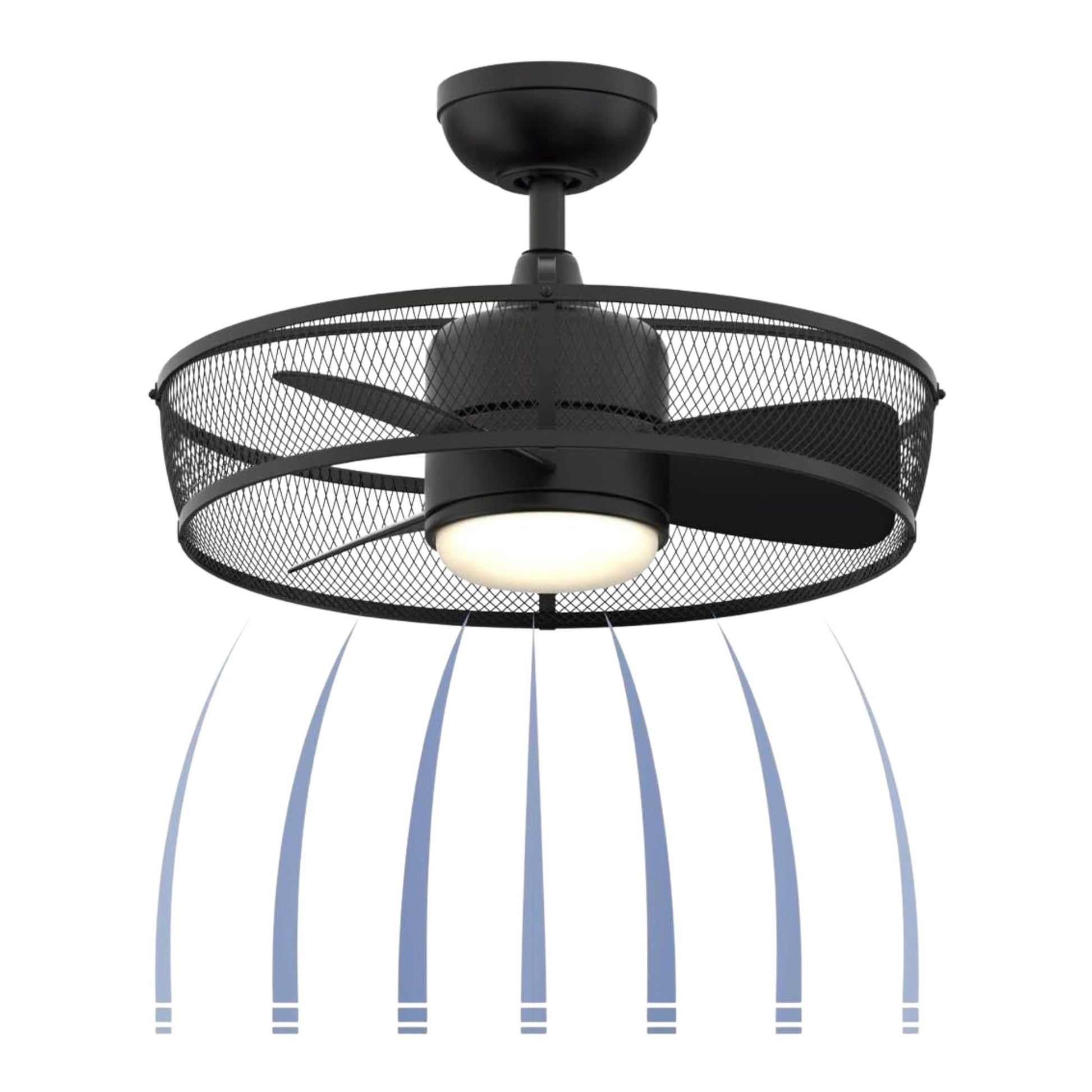 Fanimation - Henry 20" Black Damp Rated Cage Chandelier Ceiling Fan with Light and Remote | Bees Lighting