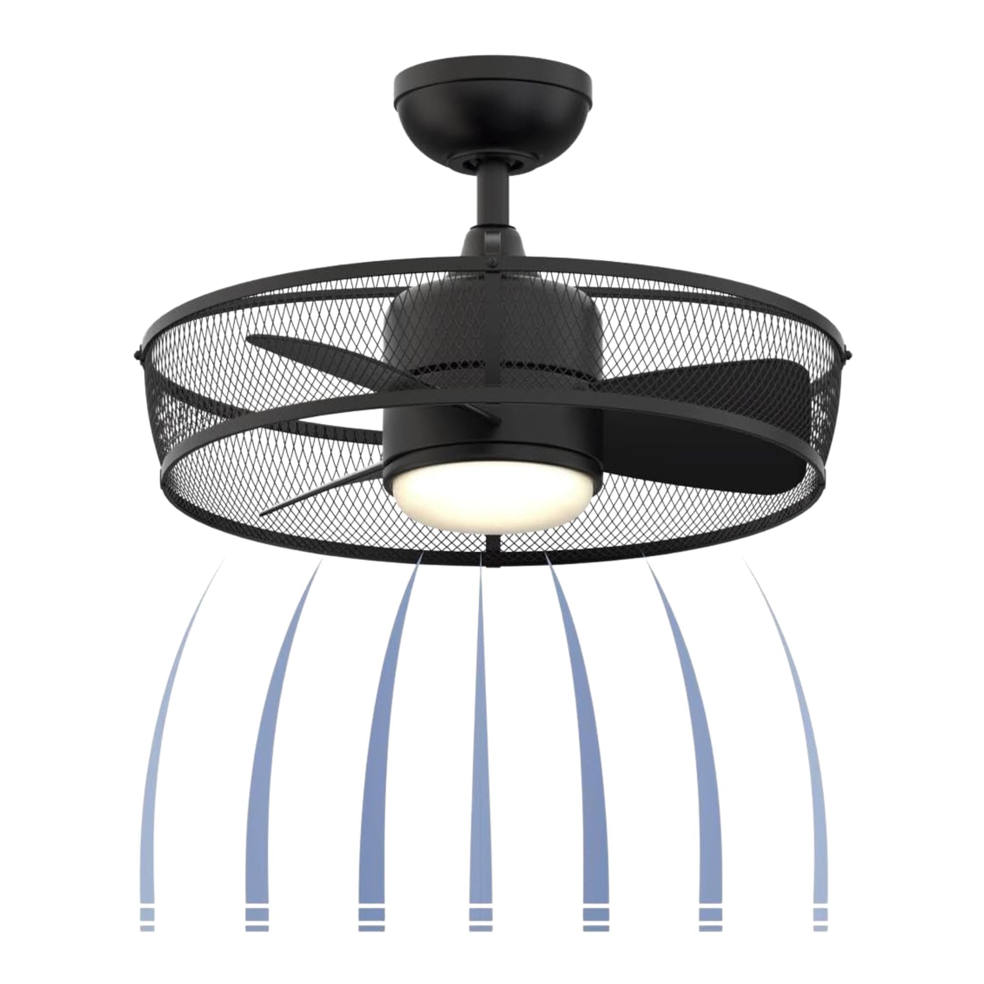 Fanimation - Henry 20" Black Damp Rated Cage Chandelier Ceiling Fan with Light and Remote | Bees Lighting