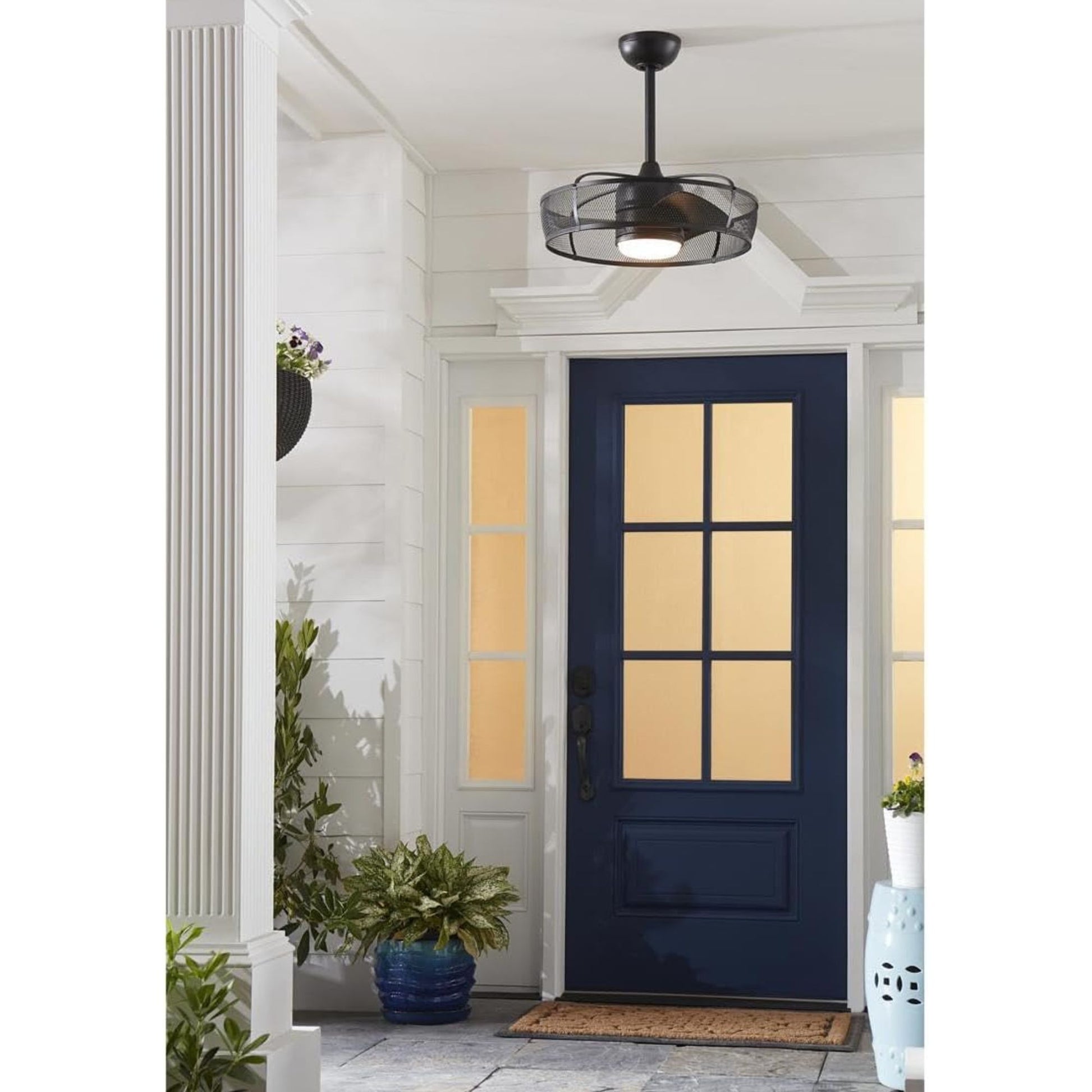 Fanimation - Henry 20" Black Damp Rated Cage Chandelier Ceiling Fan with Light and Remote | Bees Lighting