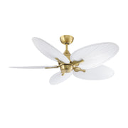 Islander DC 52" Brushed Satin Brass Ceiling Fan Motor, Blades Sold Separately